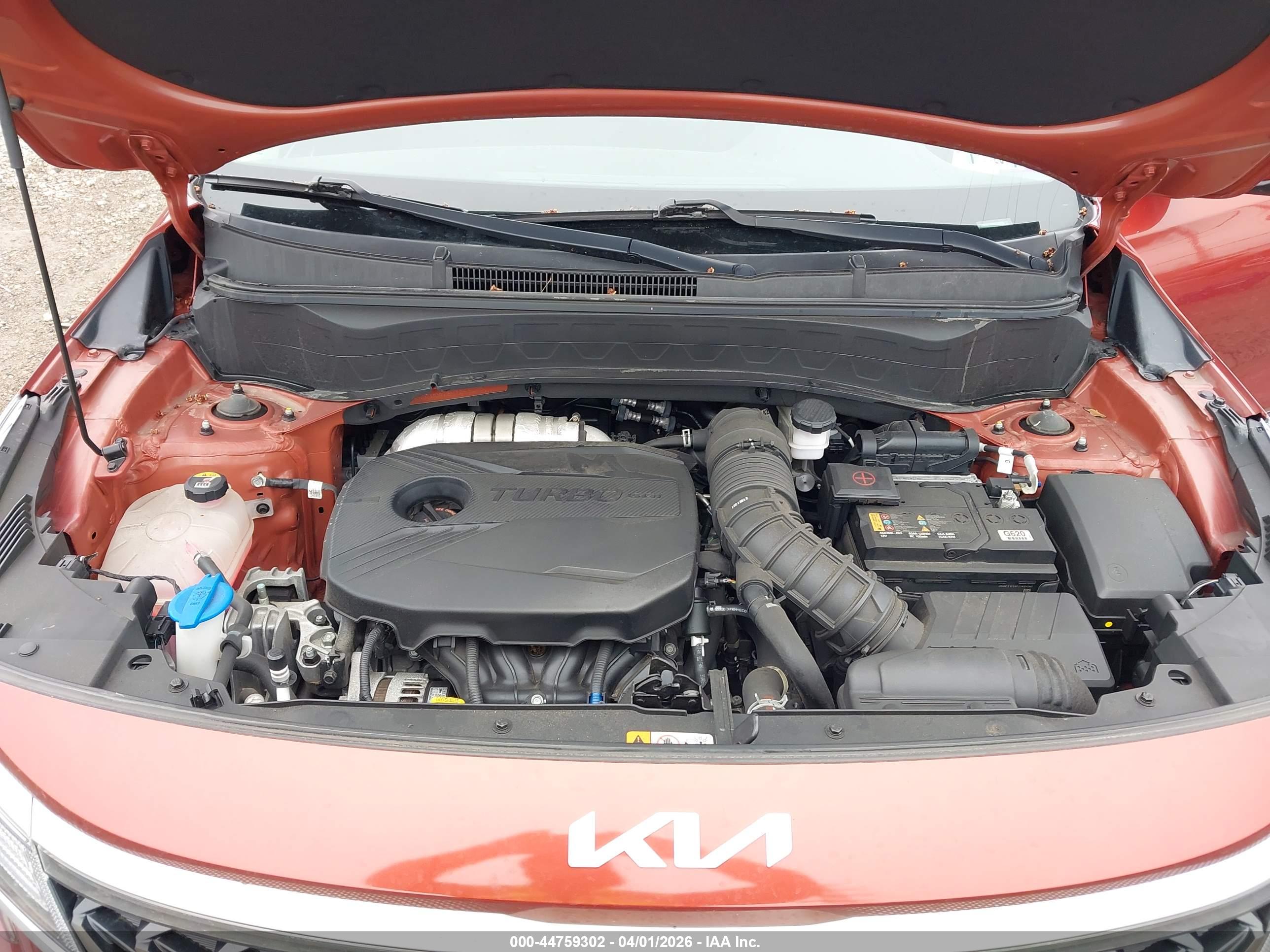 KIA SELTOS image 10