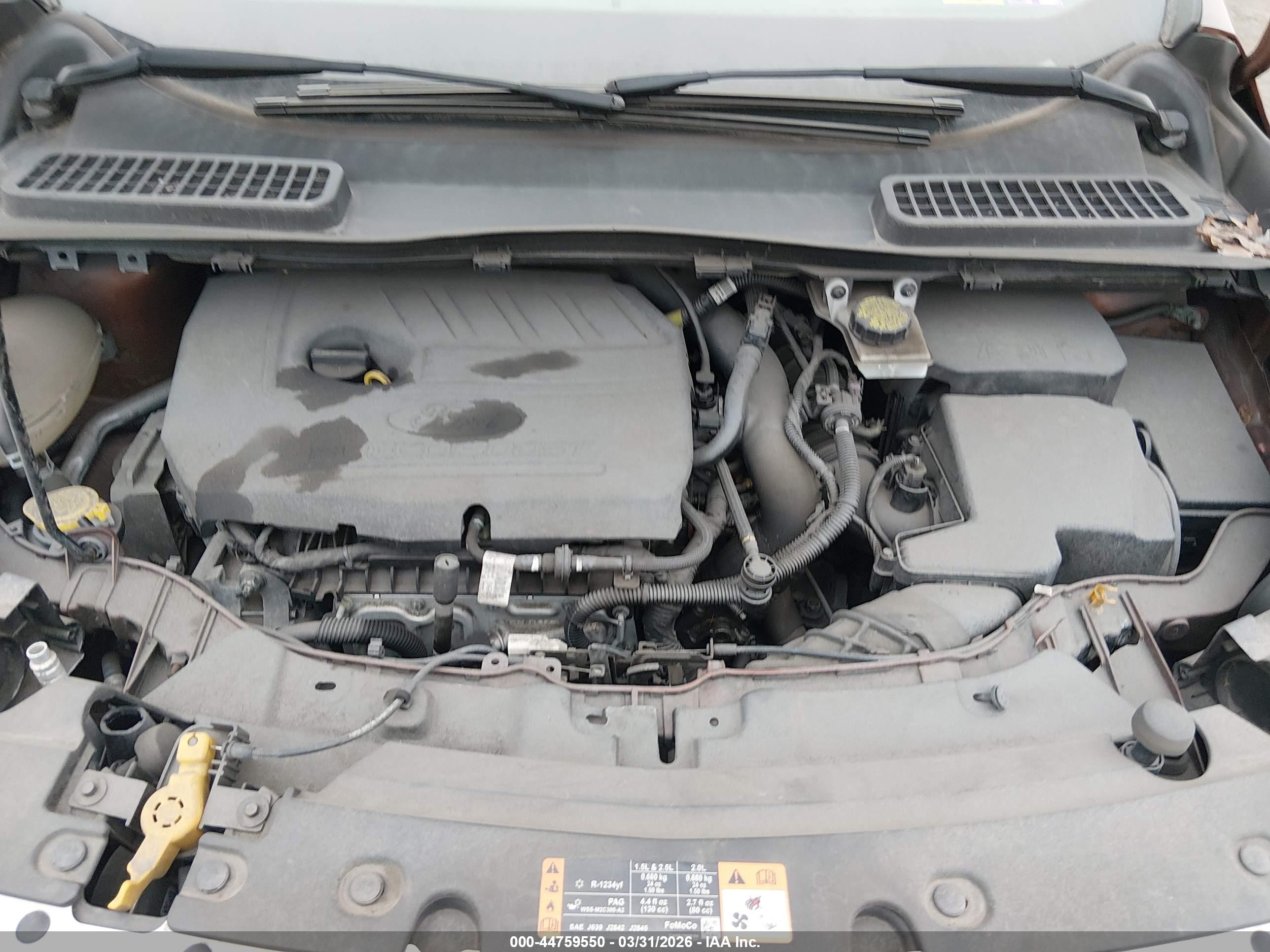FORD ESCAPE image 10