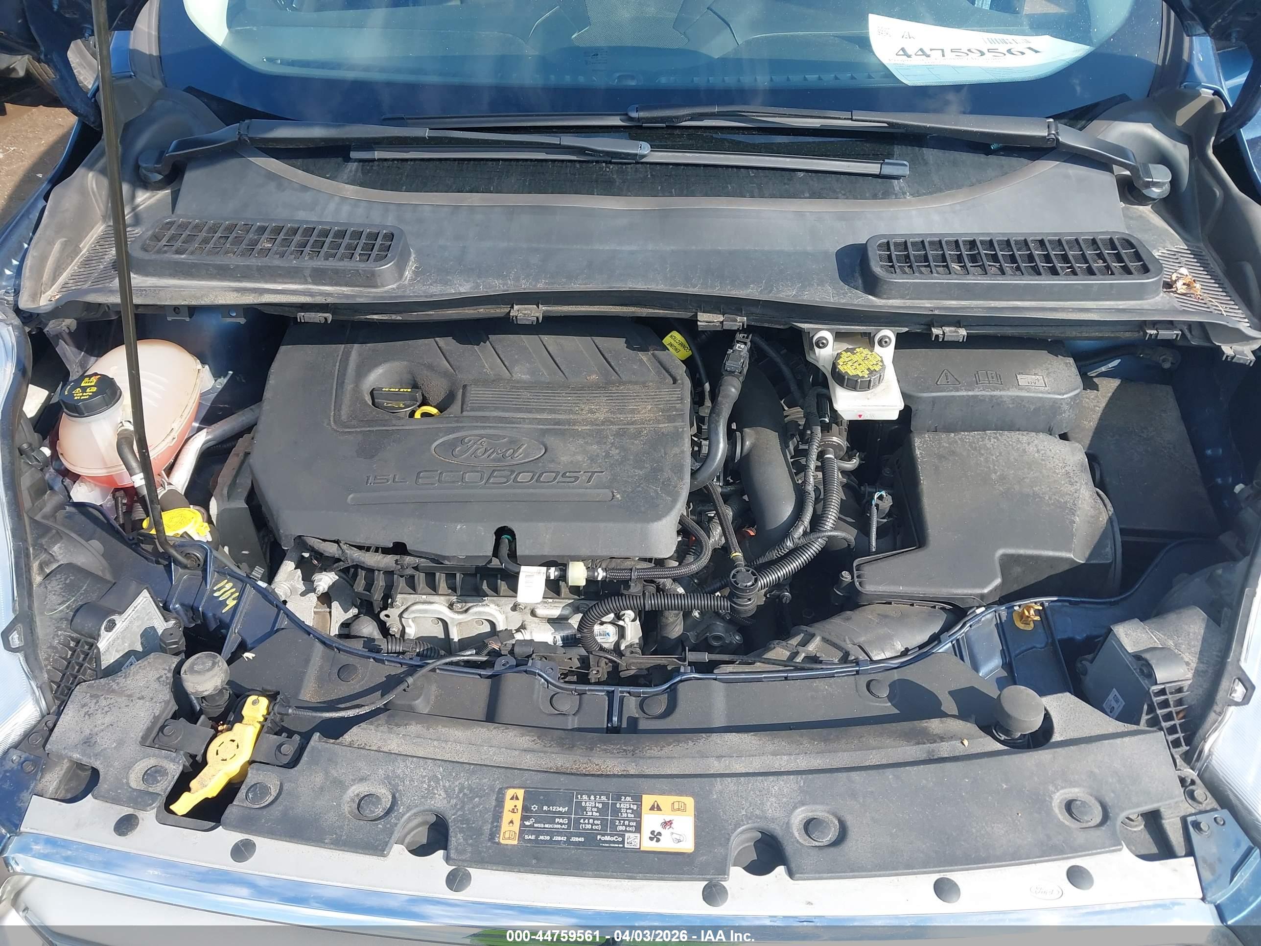FORD ESCAPE image 10