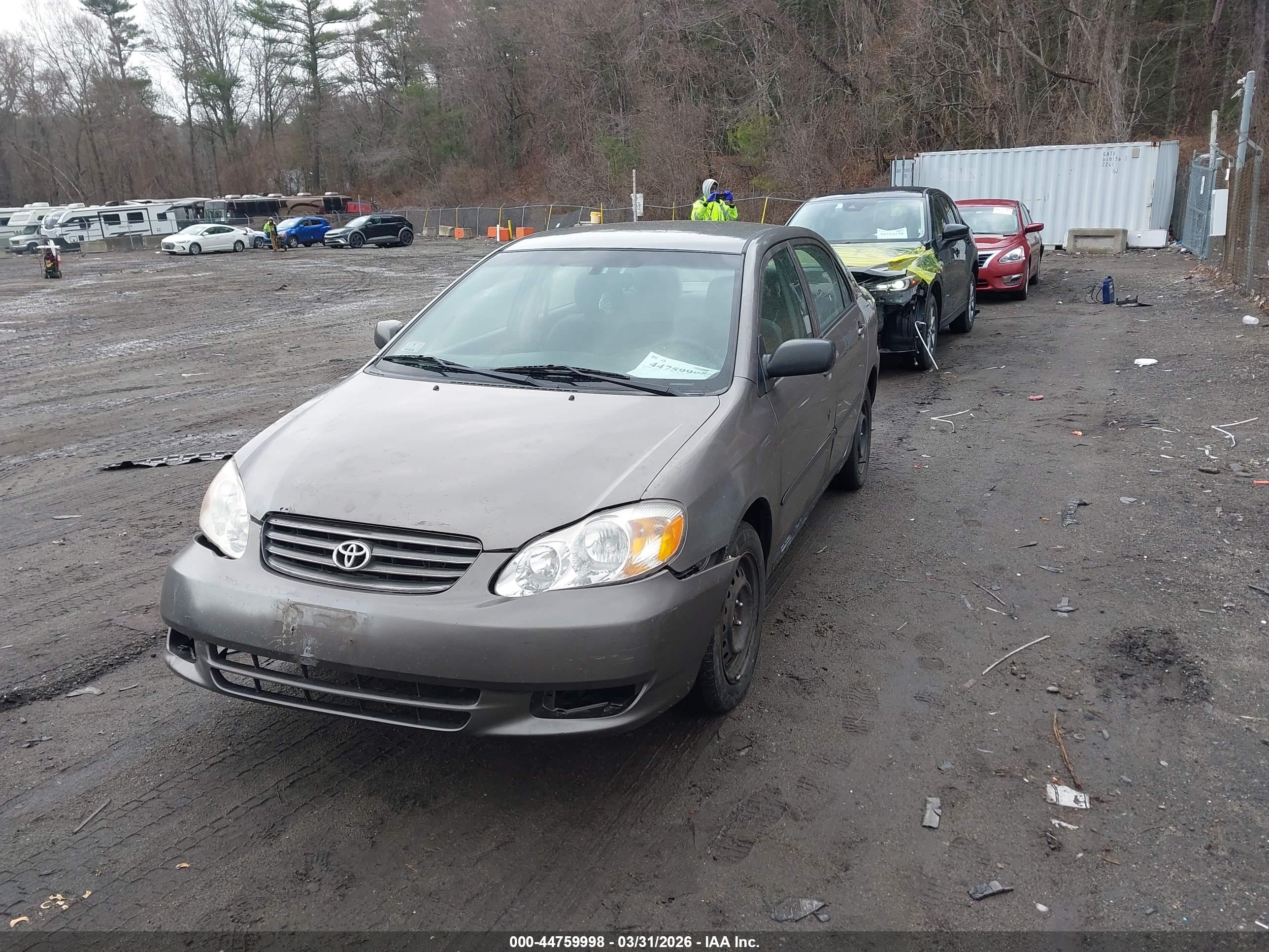 TOYOTA COROLLA image 2