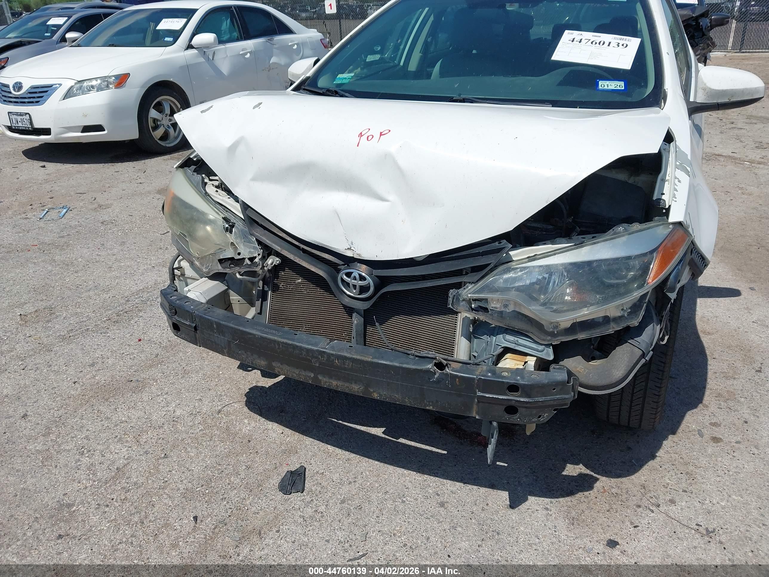 TOYOTA COROLLA image 6