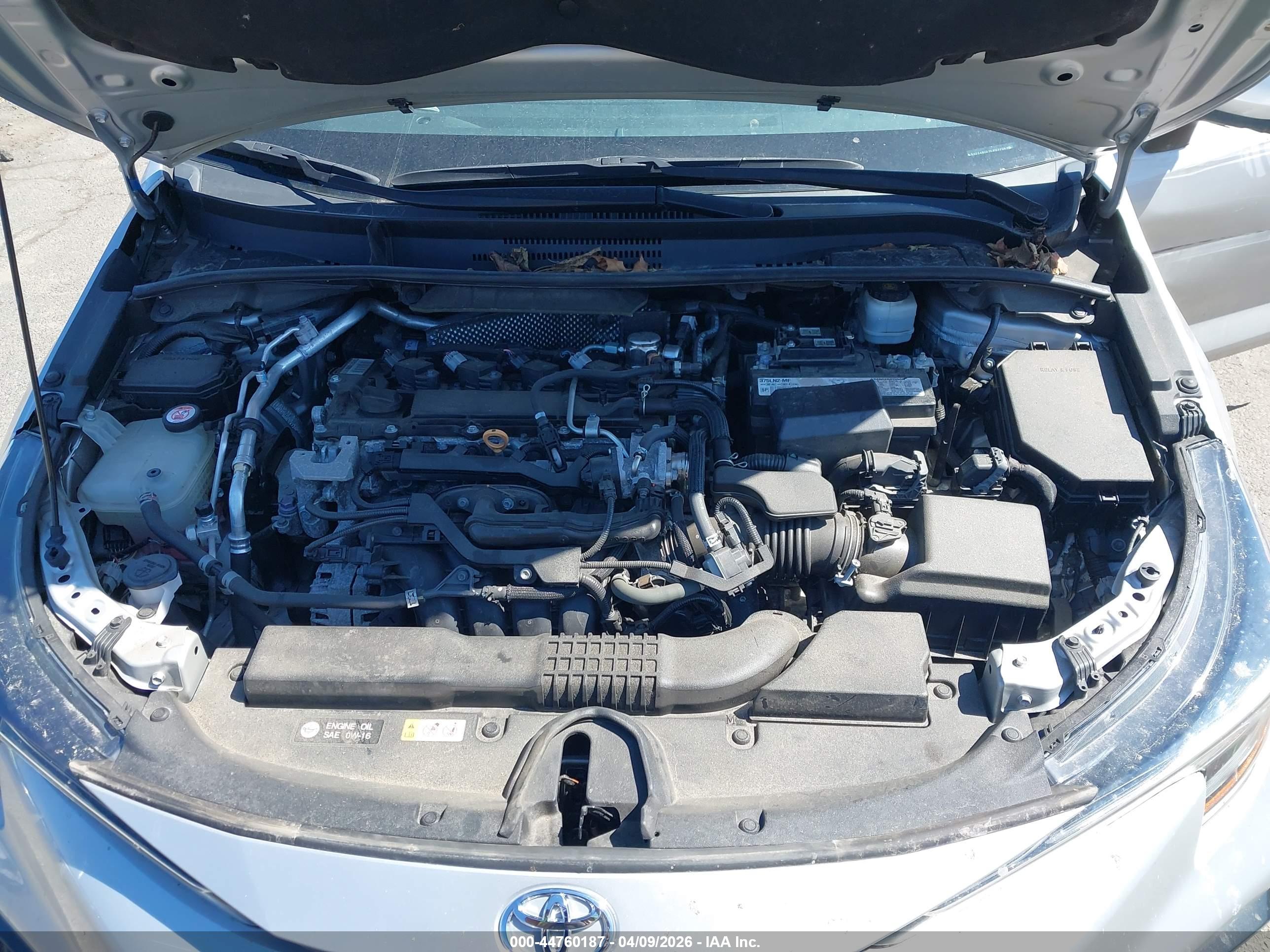 TOYOTA COROLLA image 10