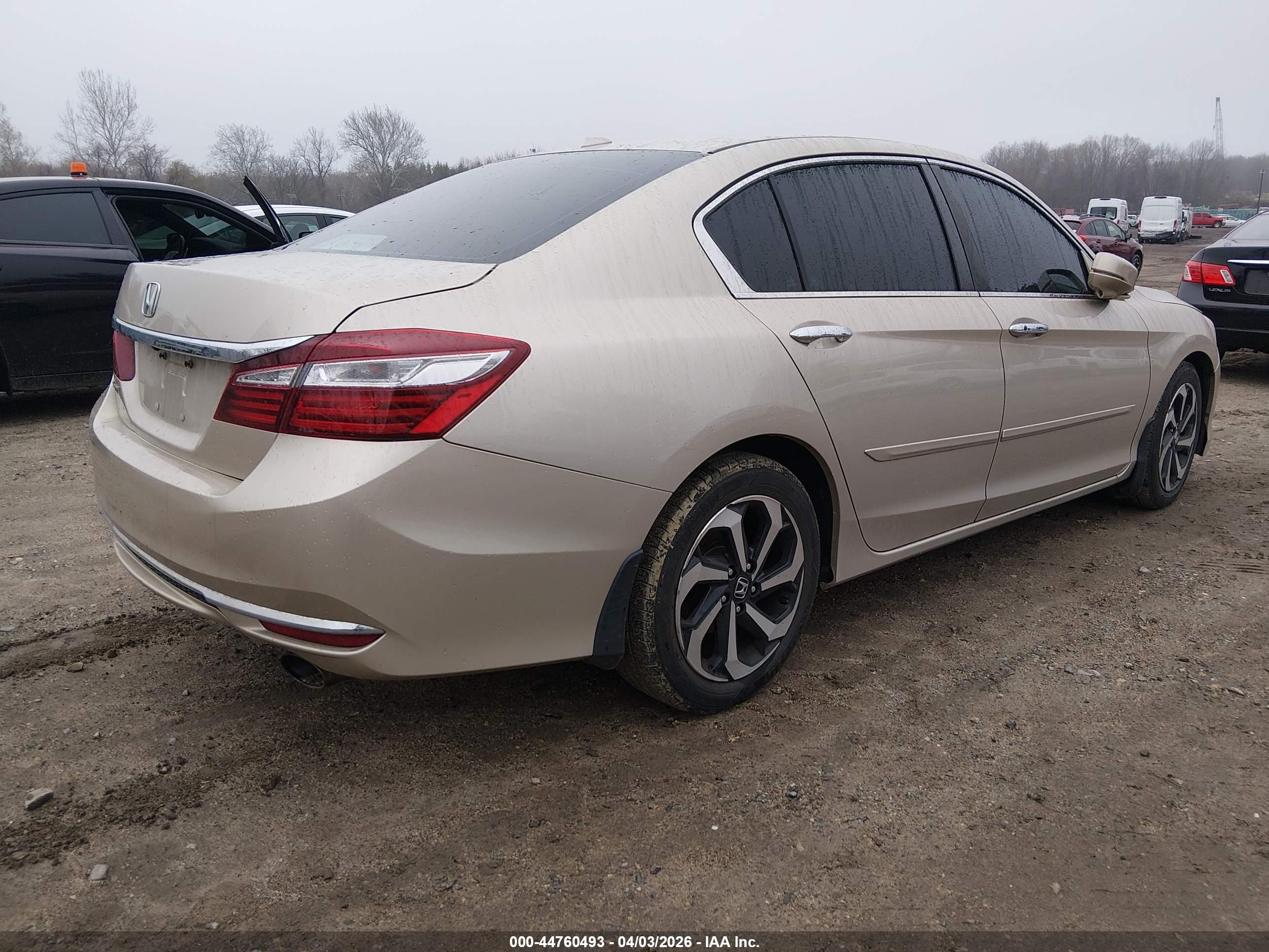 HONDA ACCORD image 4