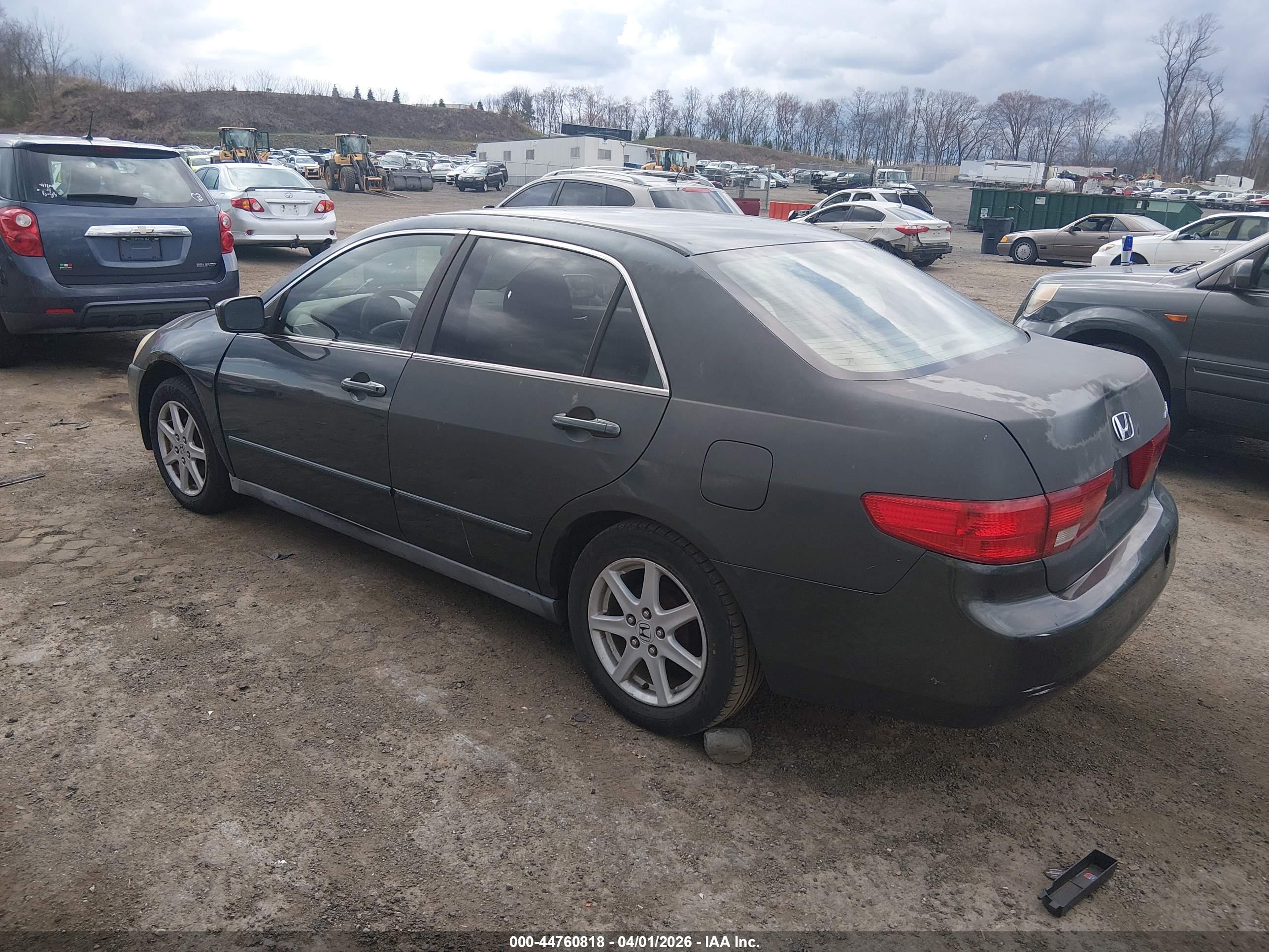 HONDA ACCORD image 3