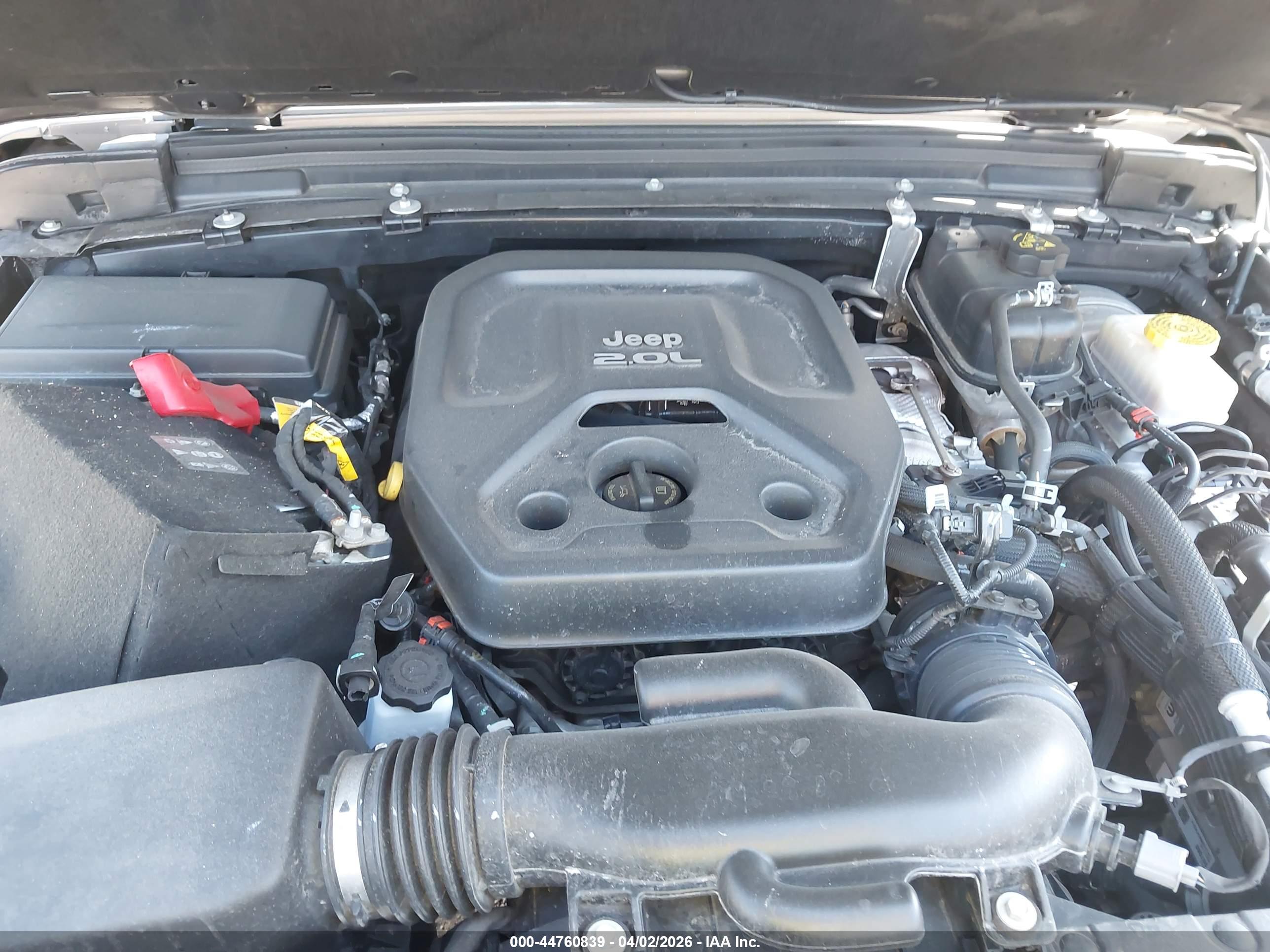 JEEP WRANGLER image 10
