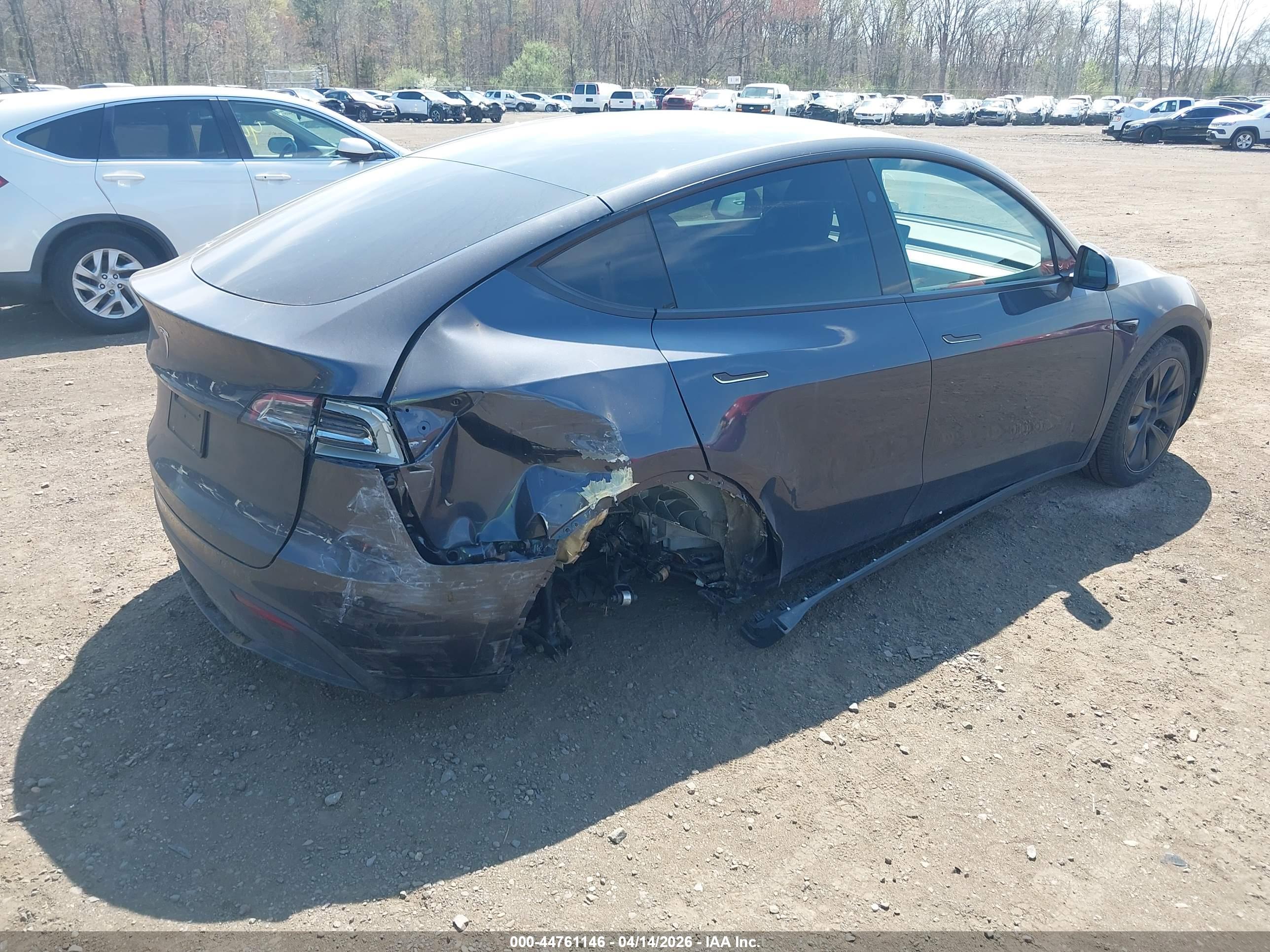 TESLA MODEL image 4