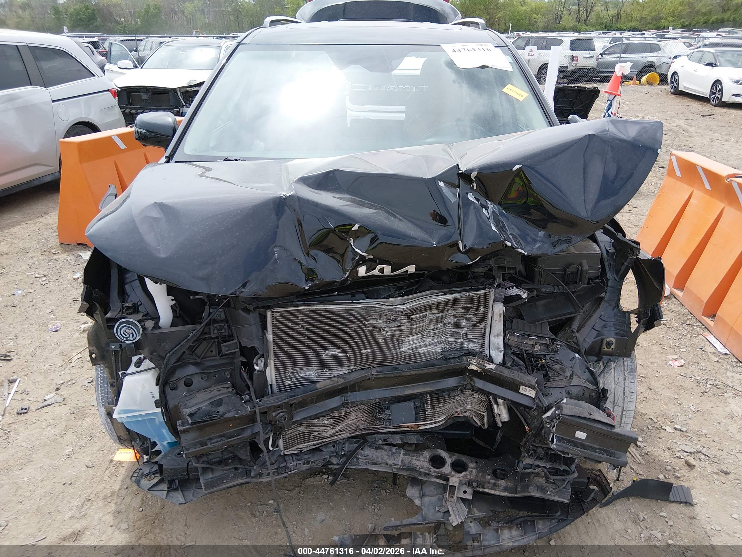 KIA CARNIVAL image 6