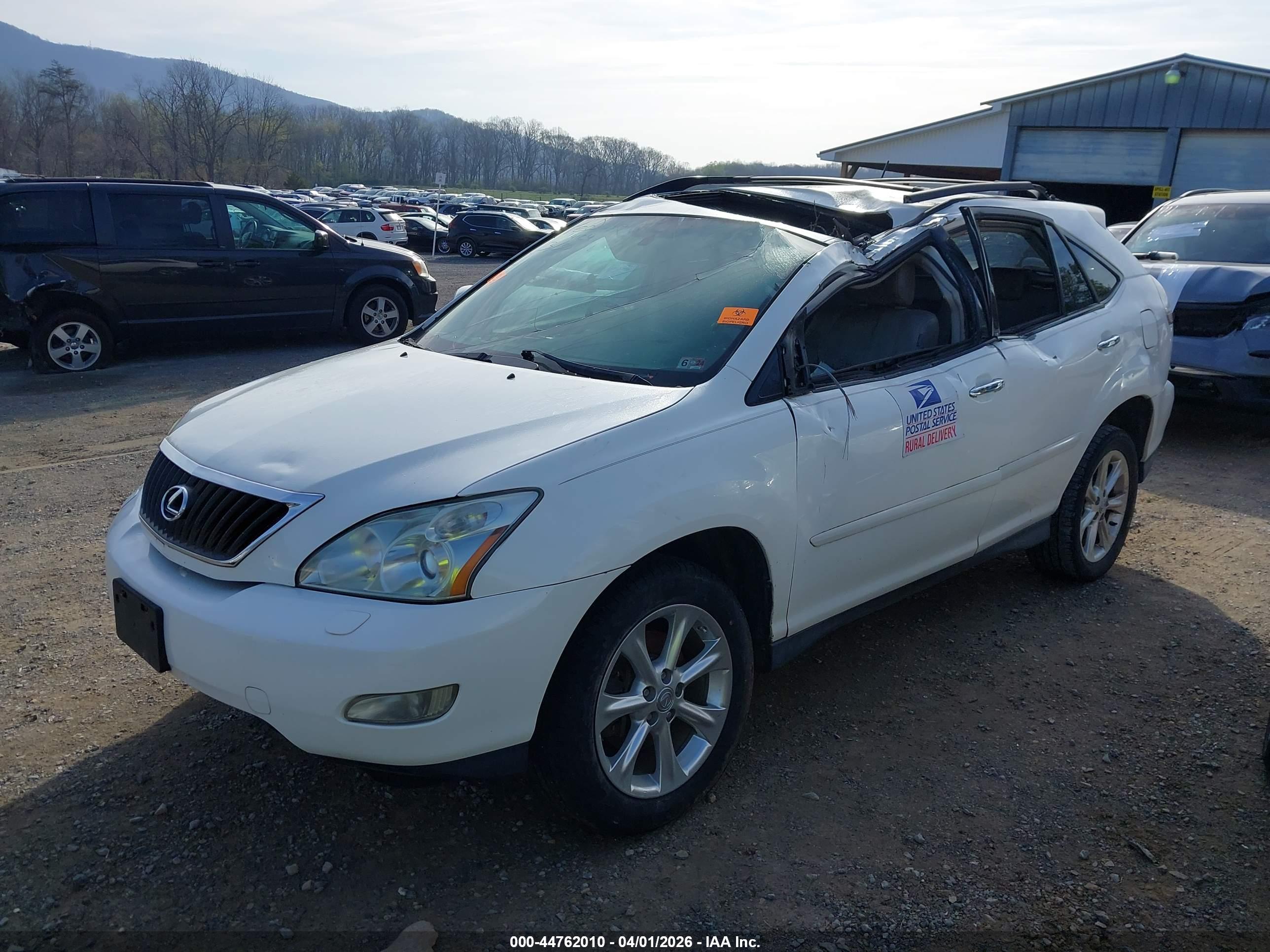 LEXUS RX image 6