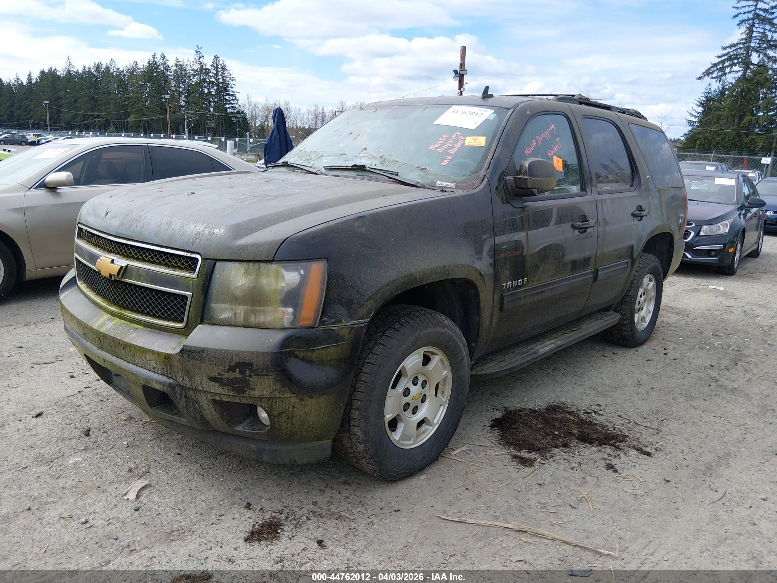 CHEVROLET TAHOE image 2