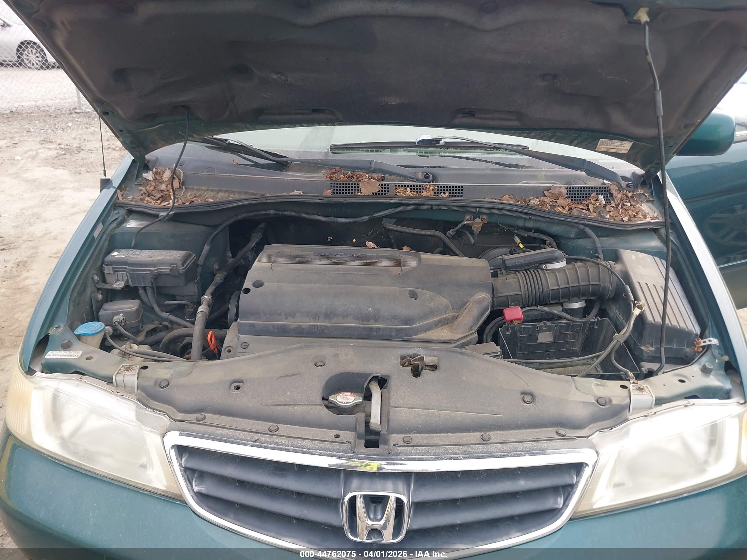 HONDA ODYSSEY image 10