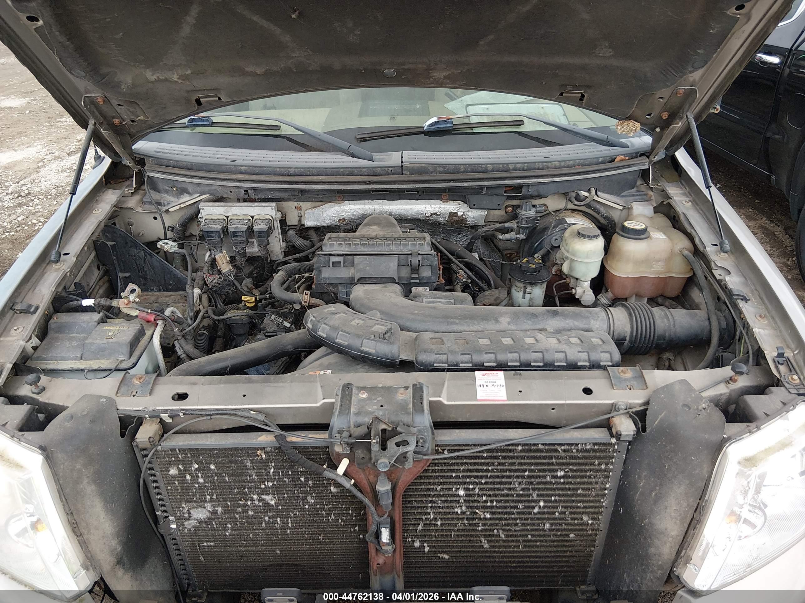 FORD F-150 image 10