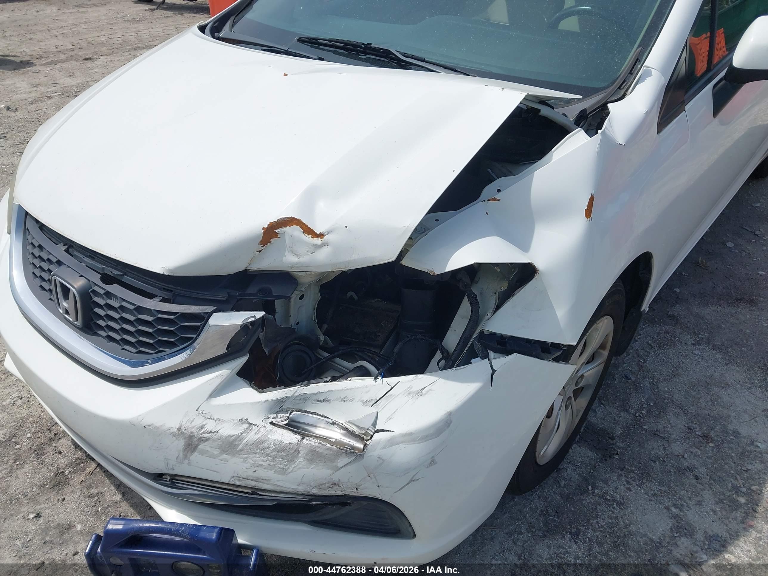 HONDA CIVIC image 6