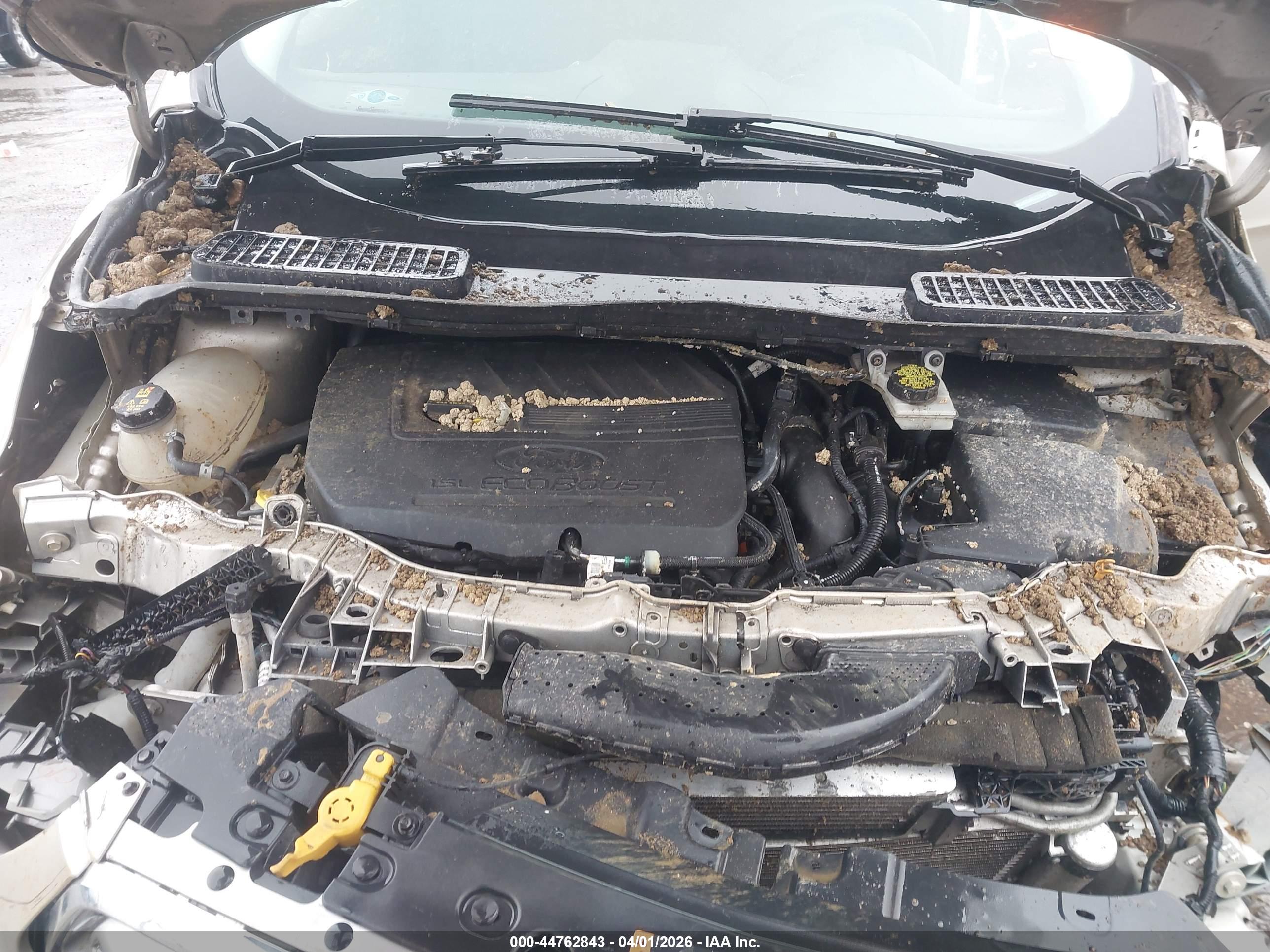 FORD ESCAPE image 10