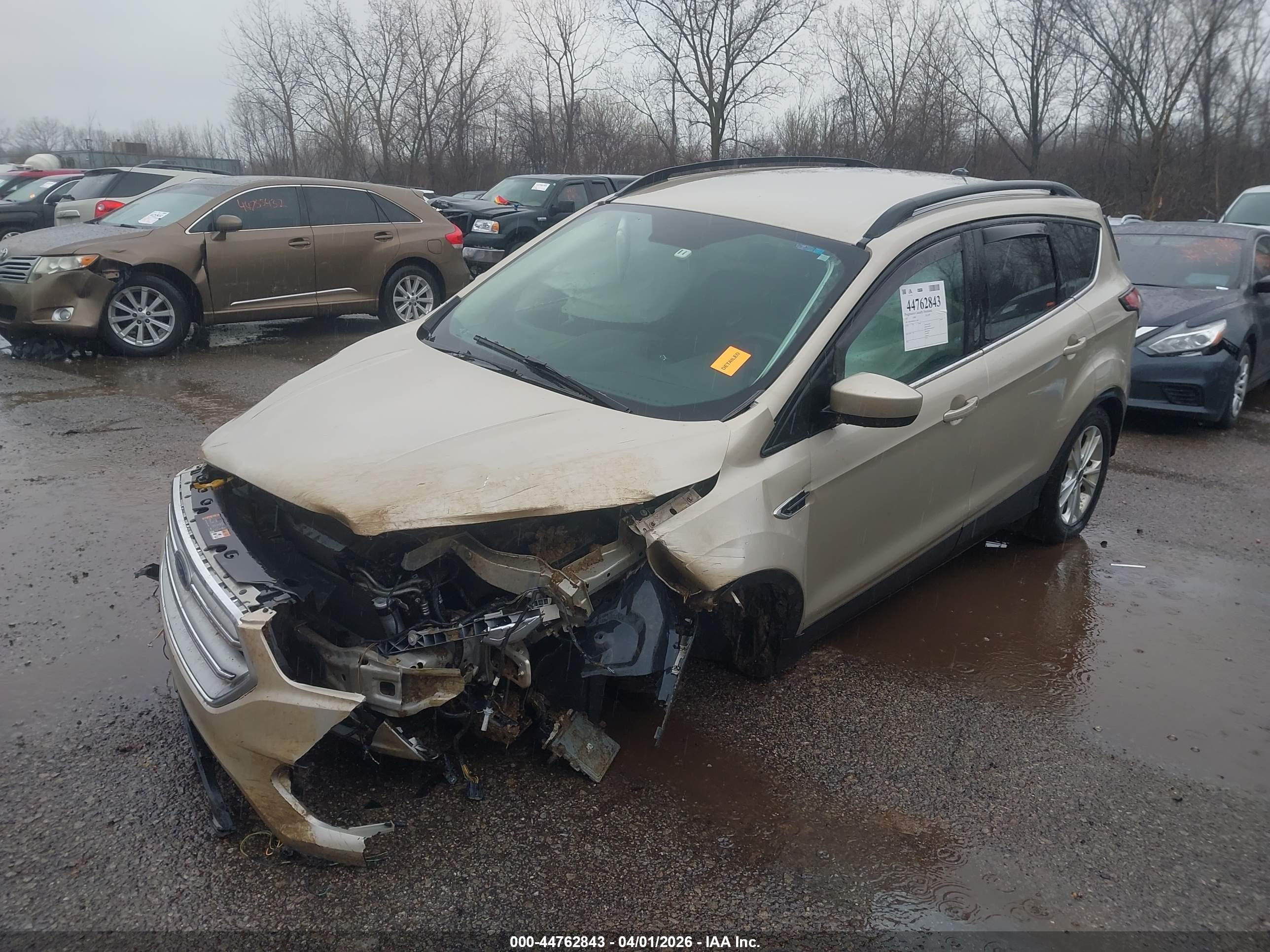 FORD ESCAPE image 2