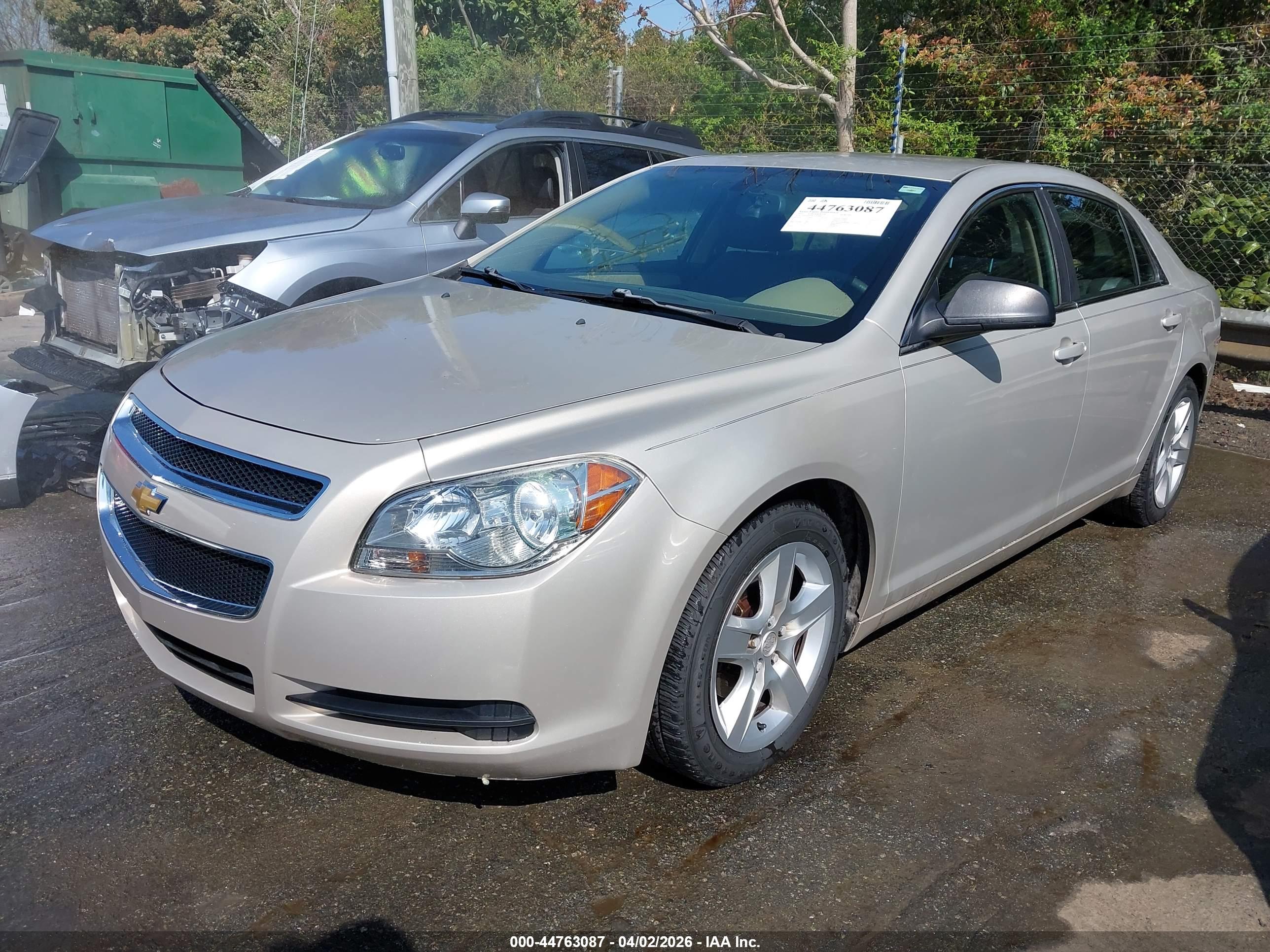 CHEVROLET MALIBU image 2