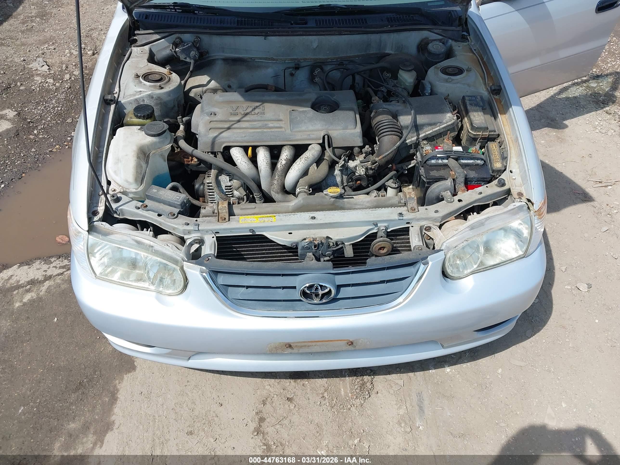 TOYOTA COROLLA image 10
