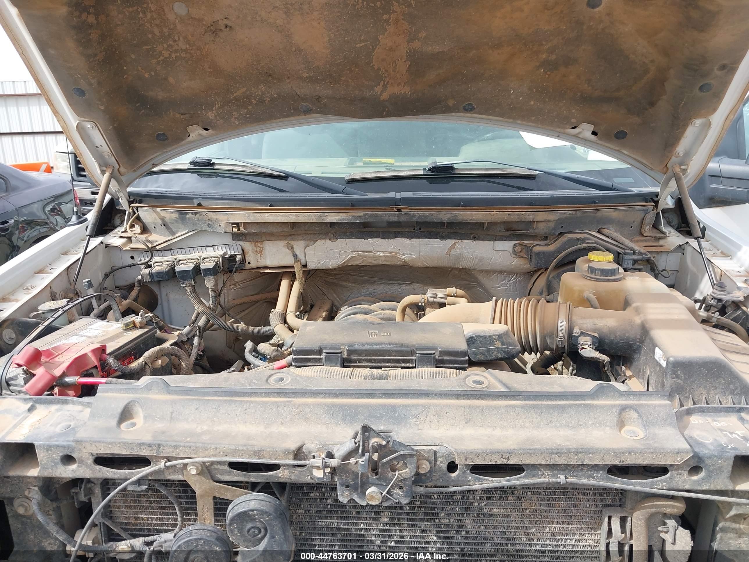 FORD F-150 image 10