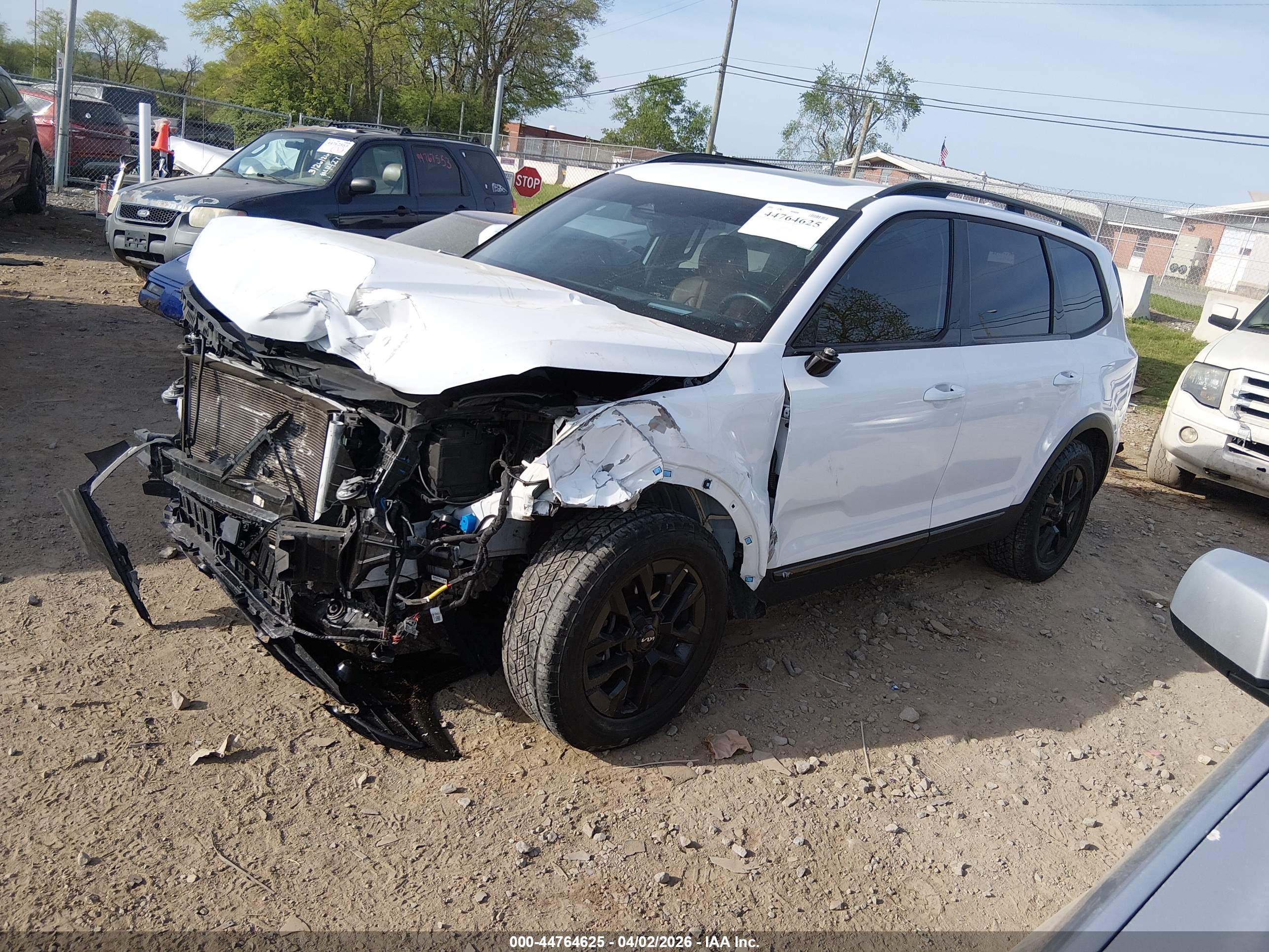 KIA TELLURIDE image 2