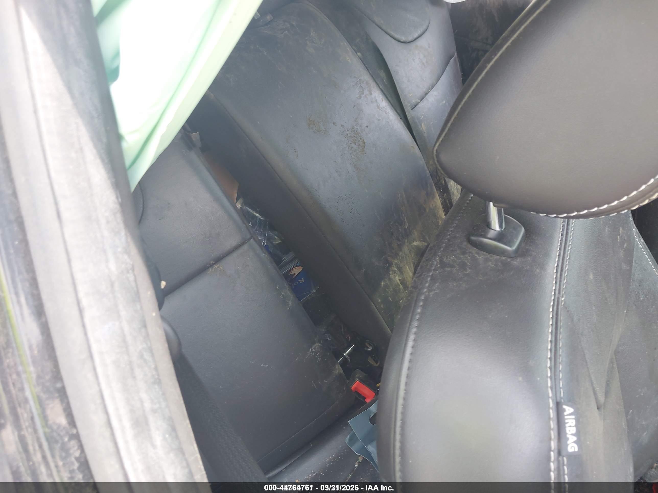 FORD FOCUS image 8