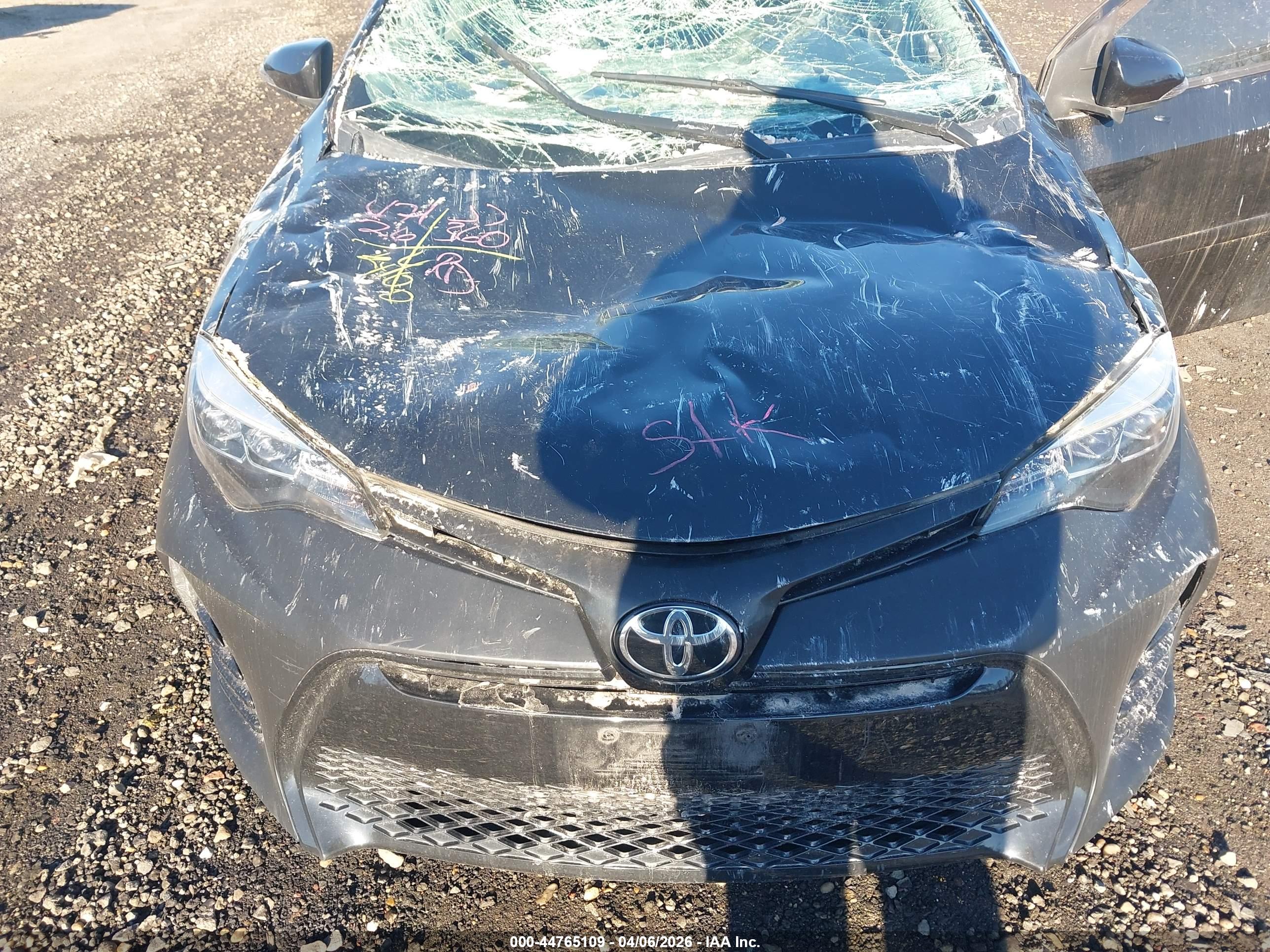 TOYOTA COROLLA image 6