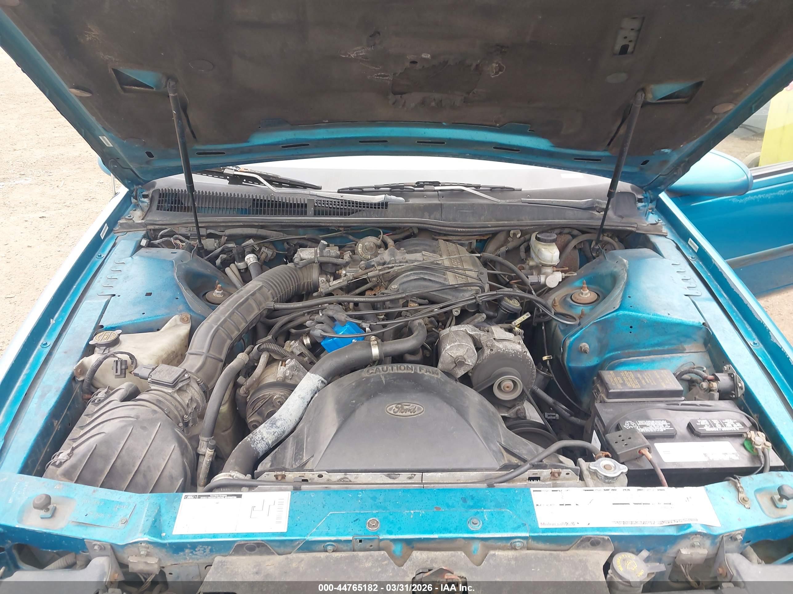 FORD THUNDERBIRD image 10