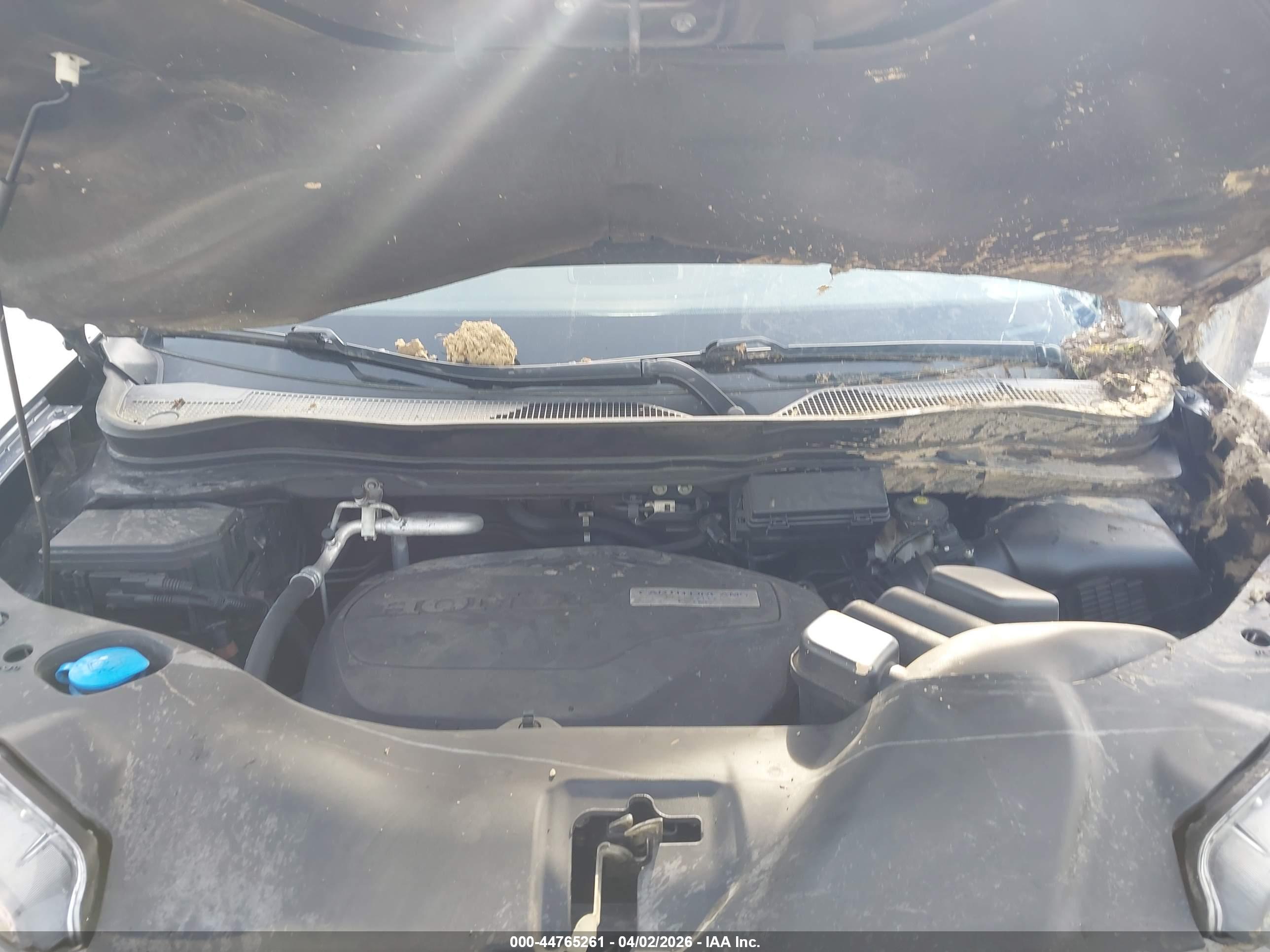 HONDA PILOT image 10