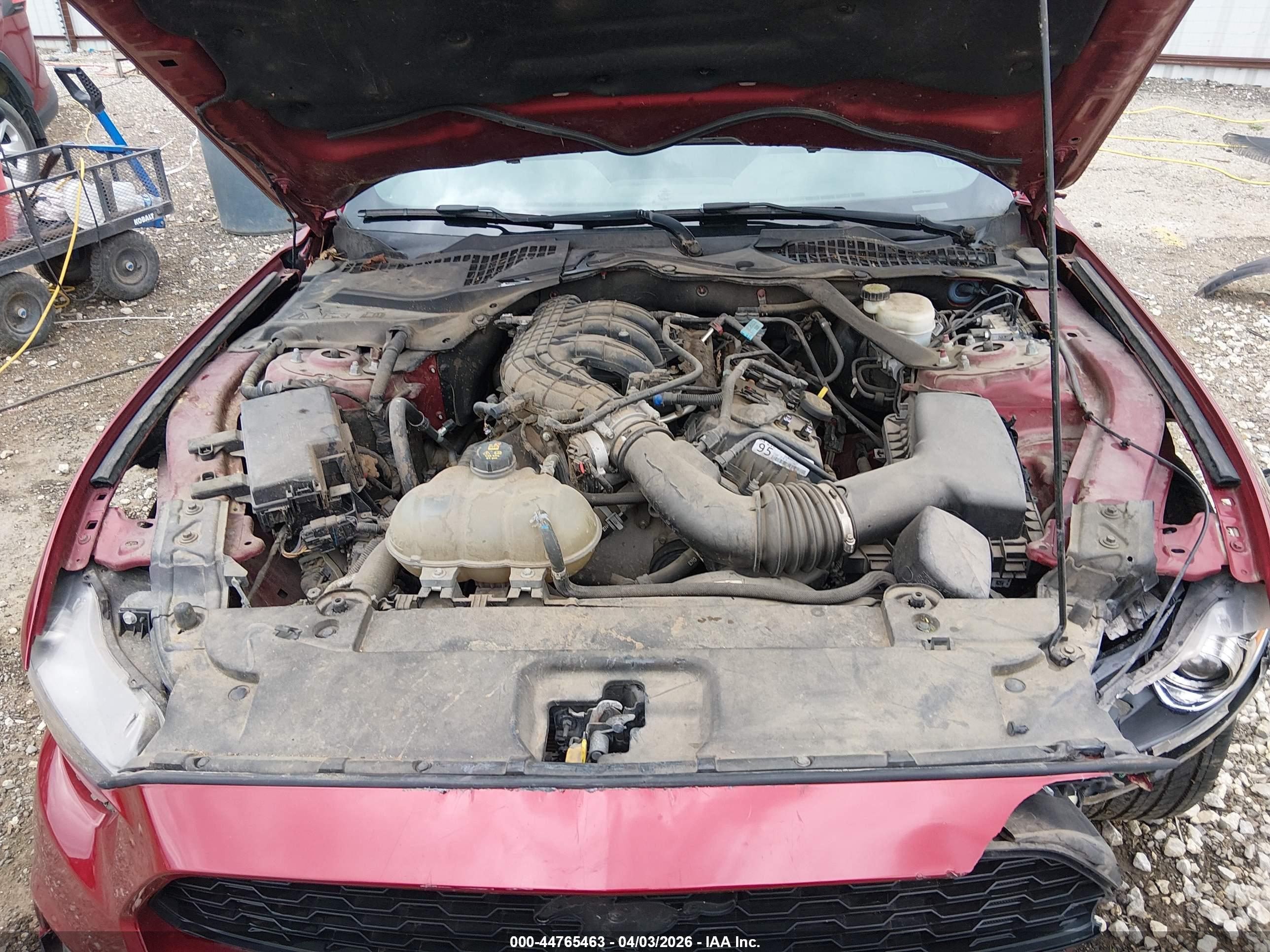FORD MUSTANG image 10
