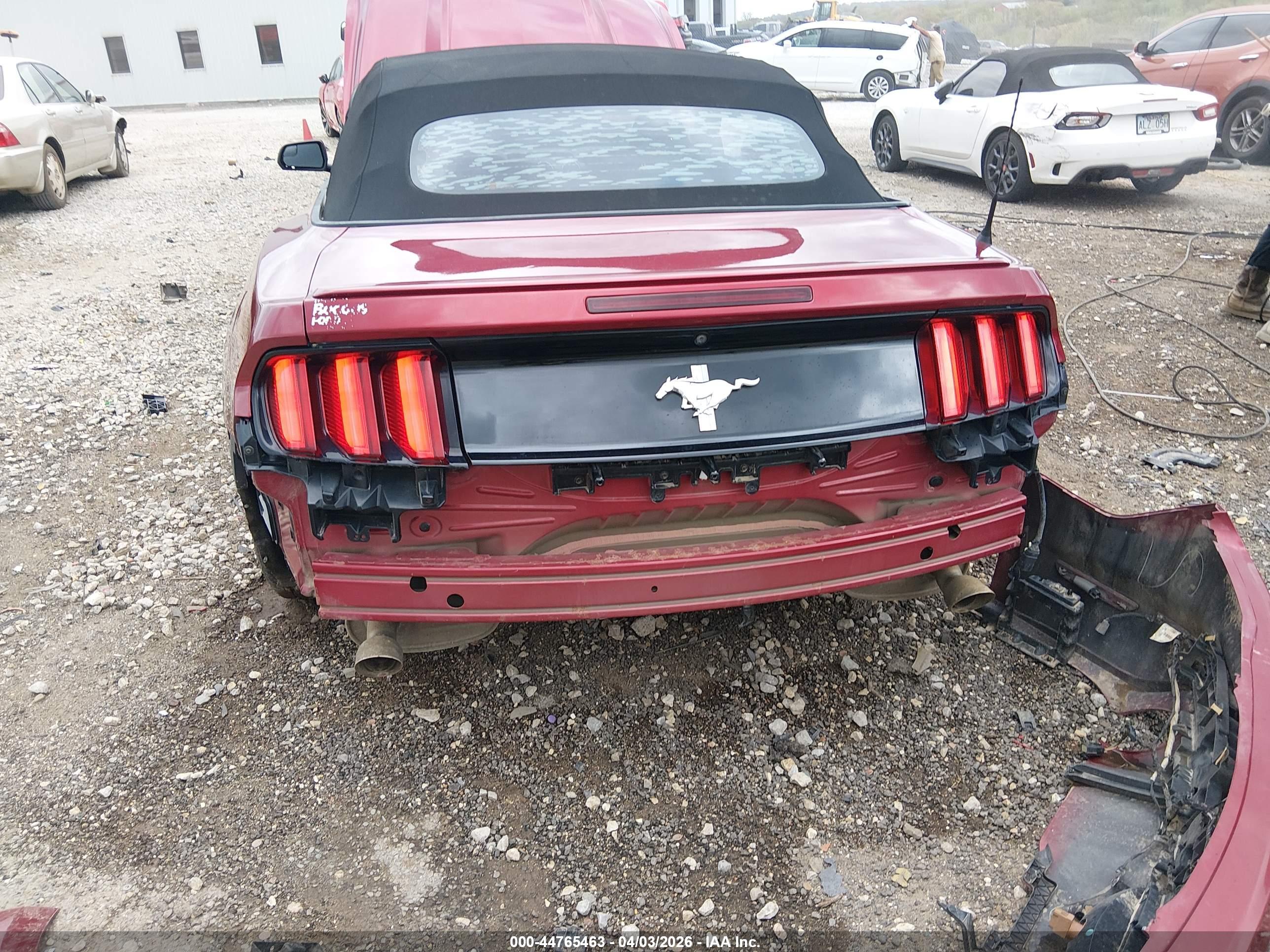 FORD MUSTANG image 6