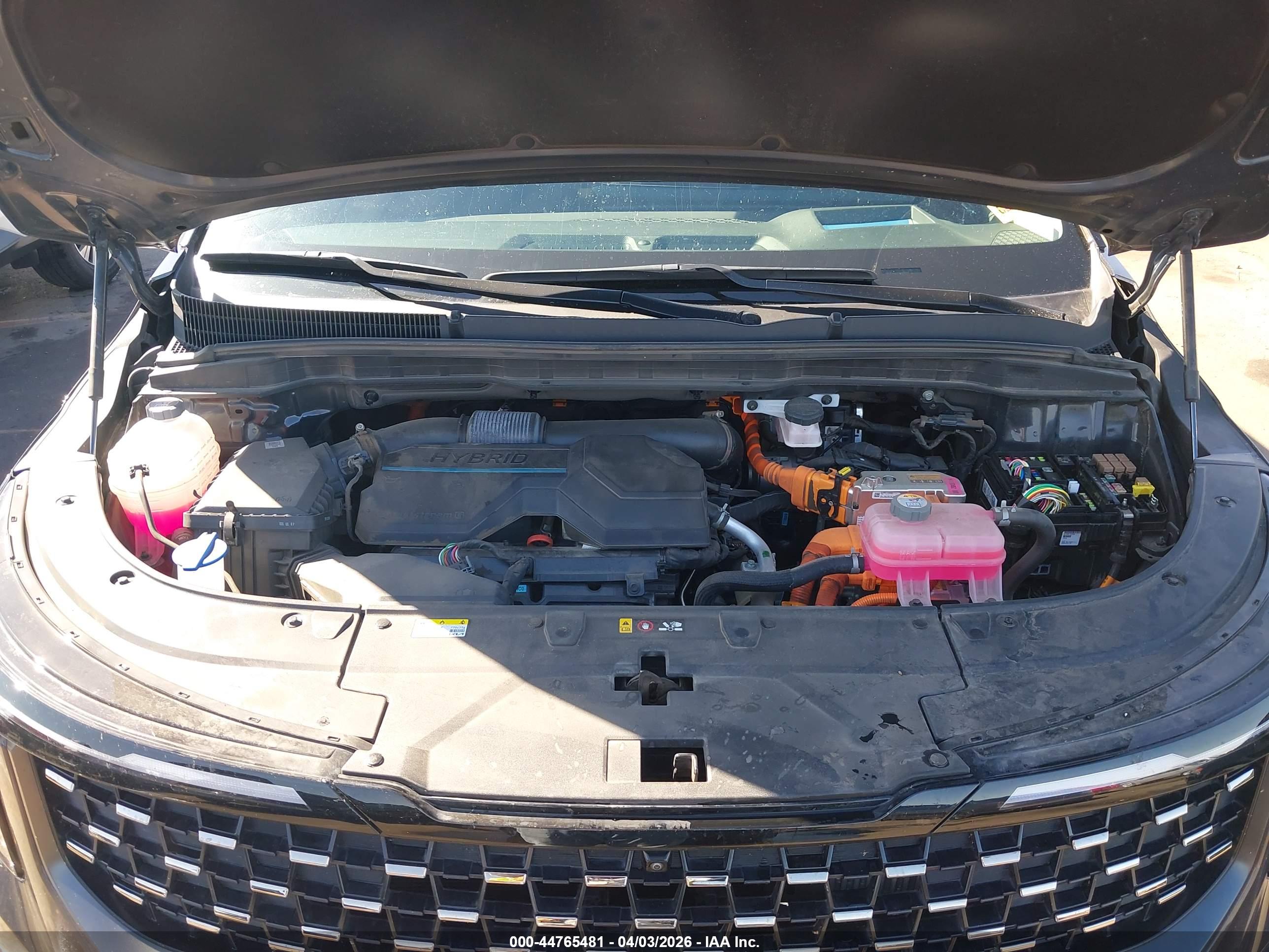 KIA CARNIVAL image 10