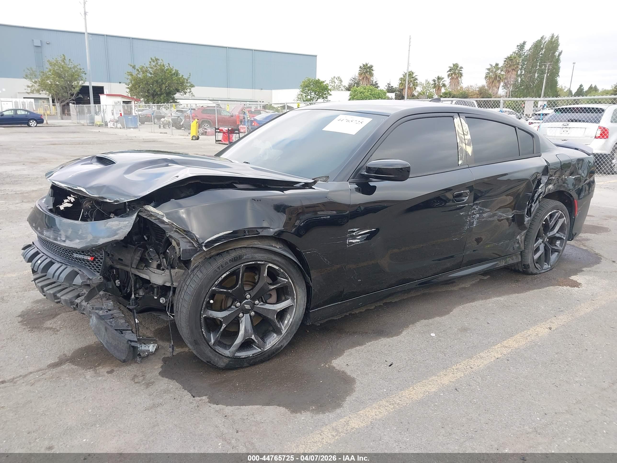 DODGE CHARGER image 2