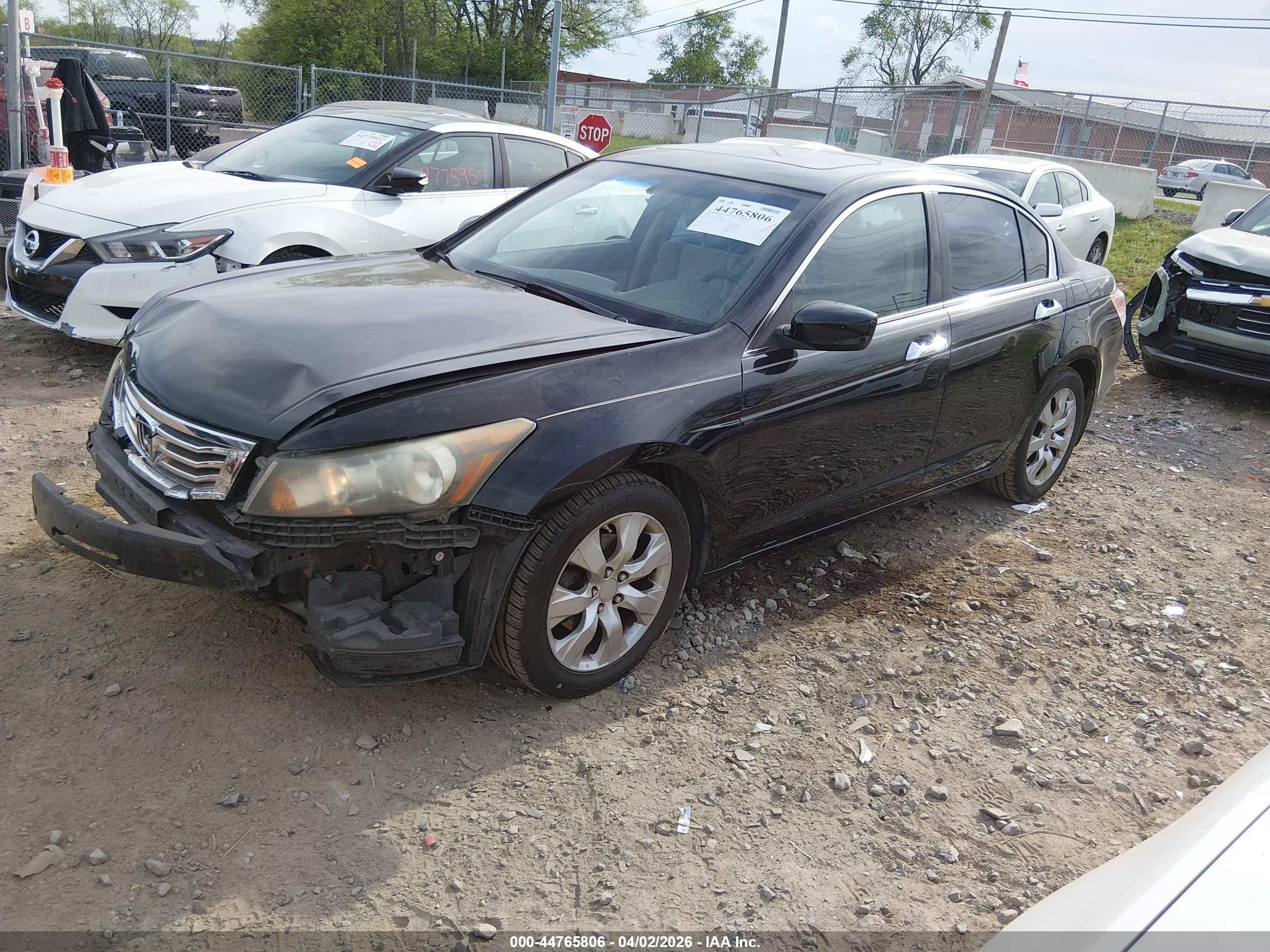 HONDA ACCORD image 2