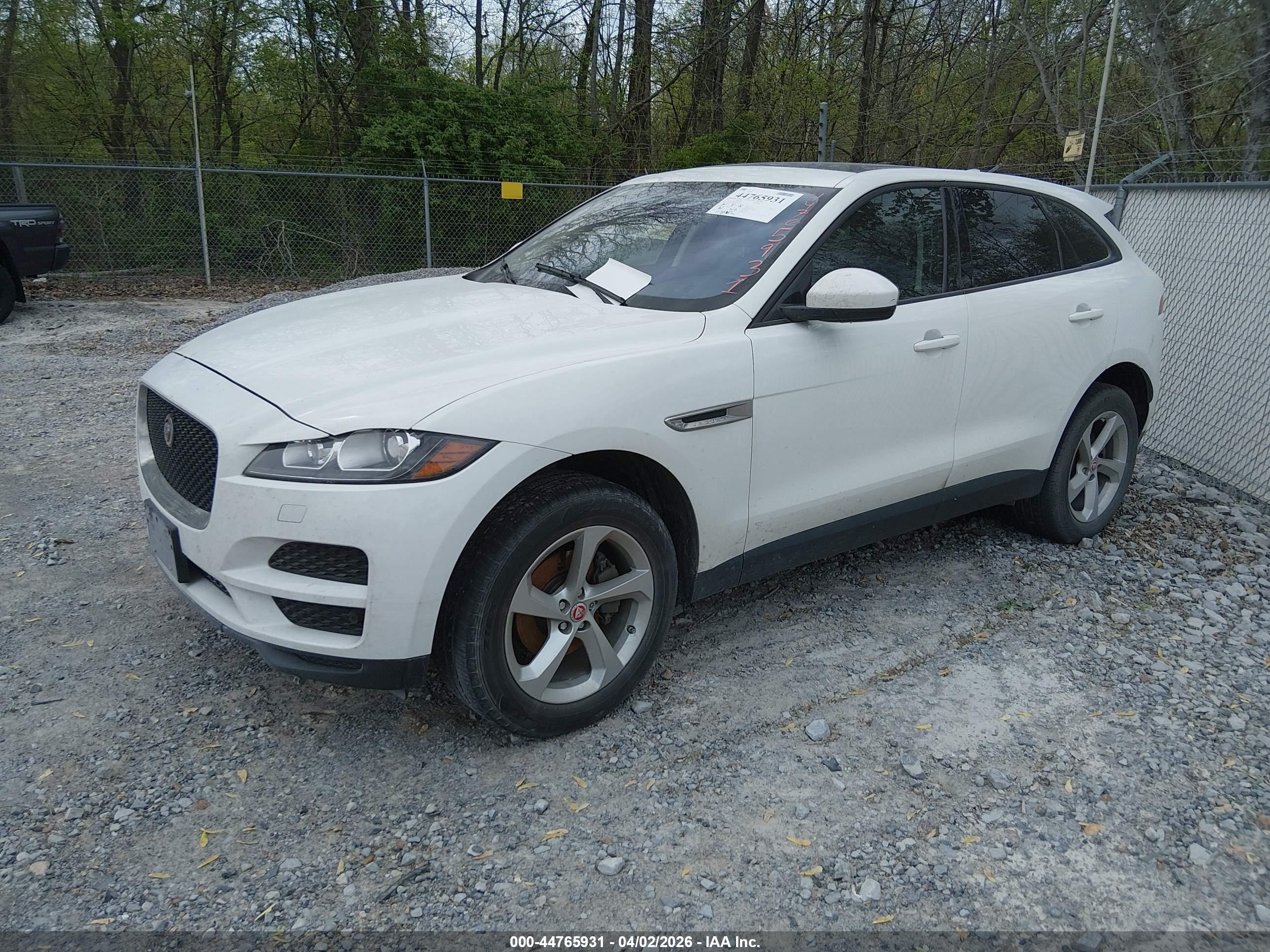 JAGUAR F-PACE image 2