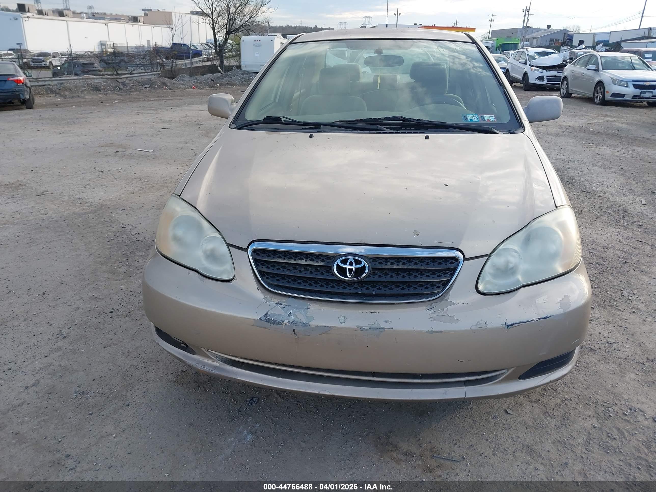 TOYOTA COROLLA image 6