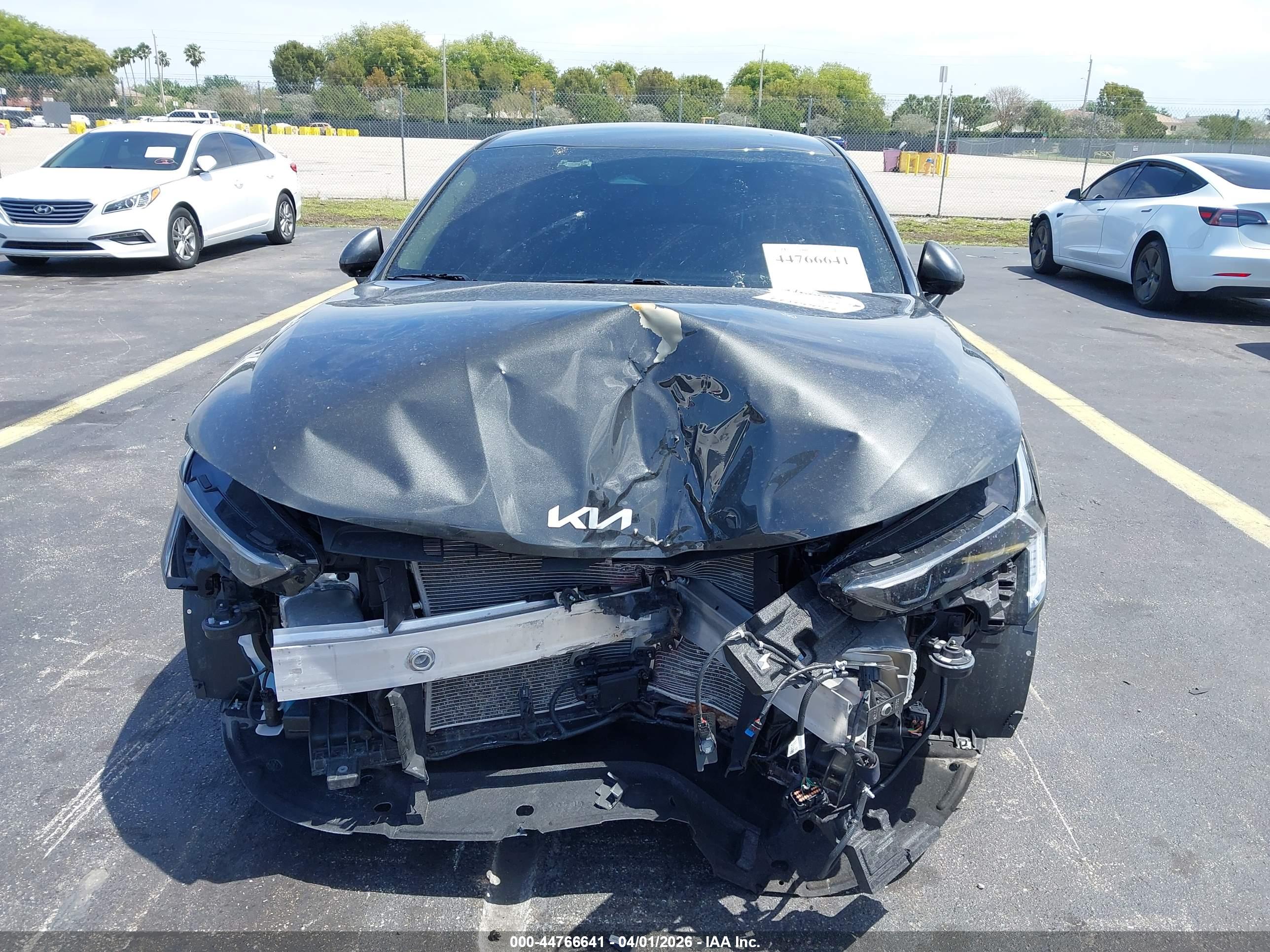 KIA K5 image 6