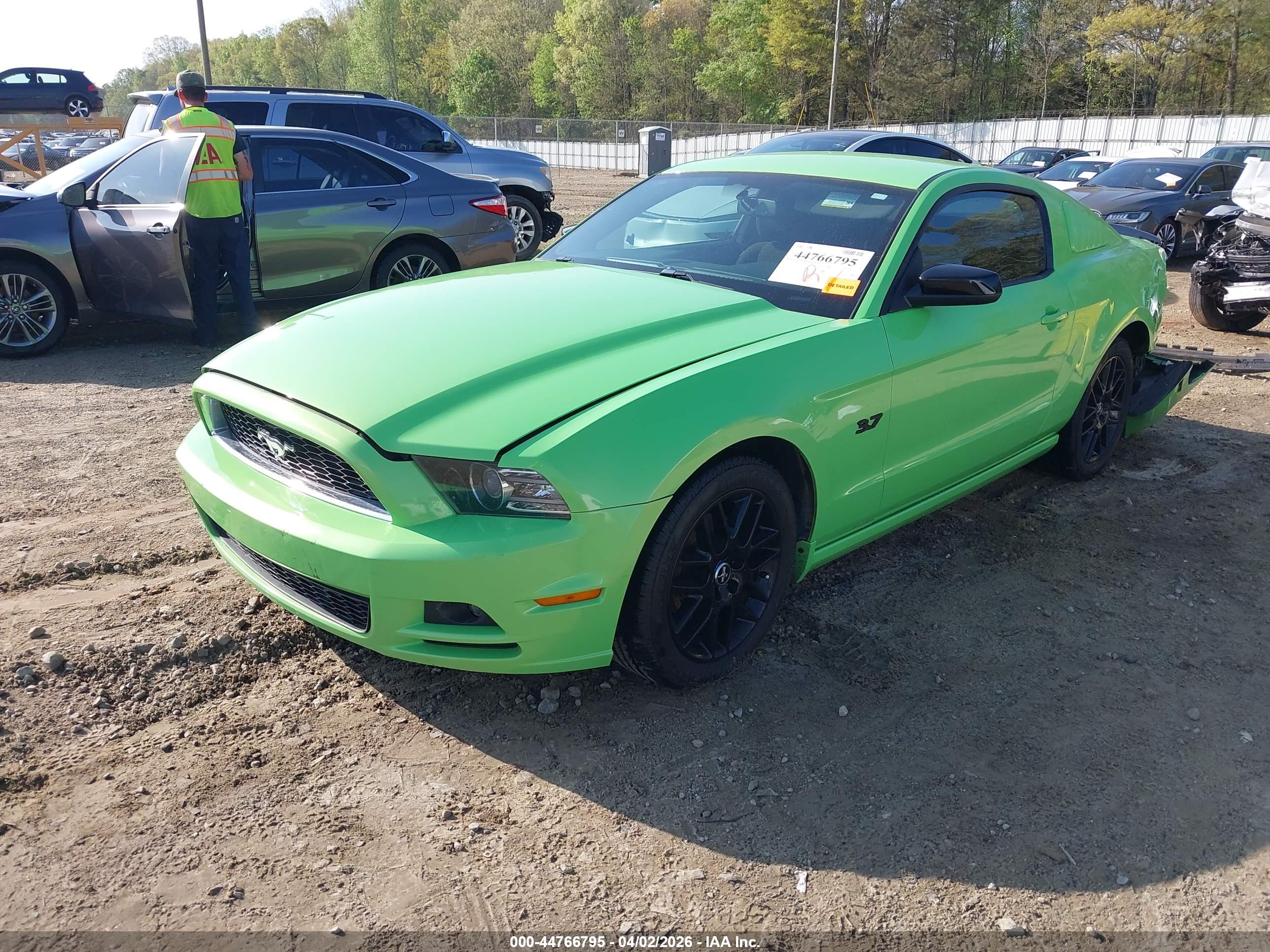 FORD MUSTANG image 2