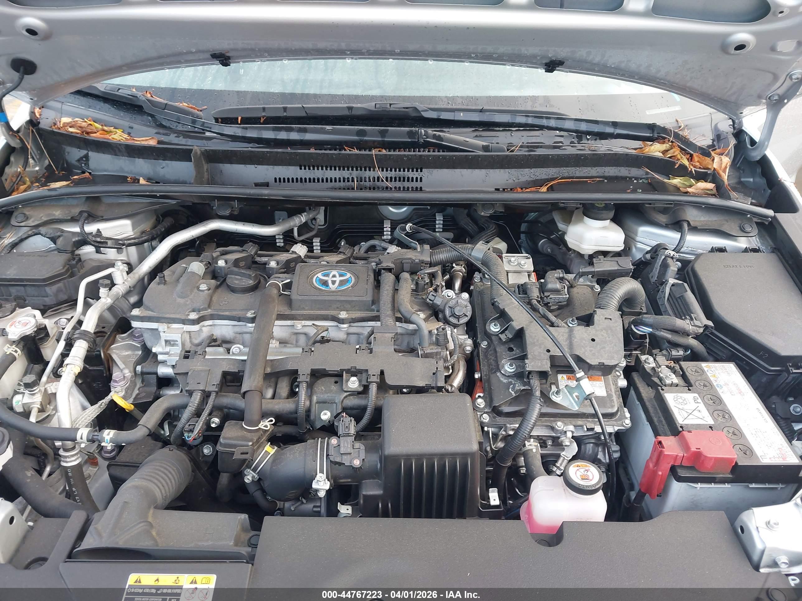 TOYOTA COROLLA image 10