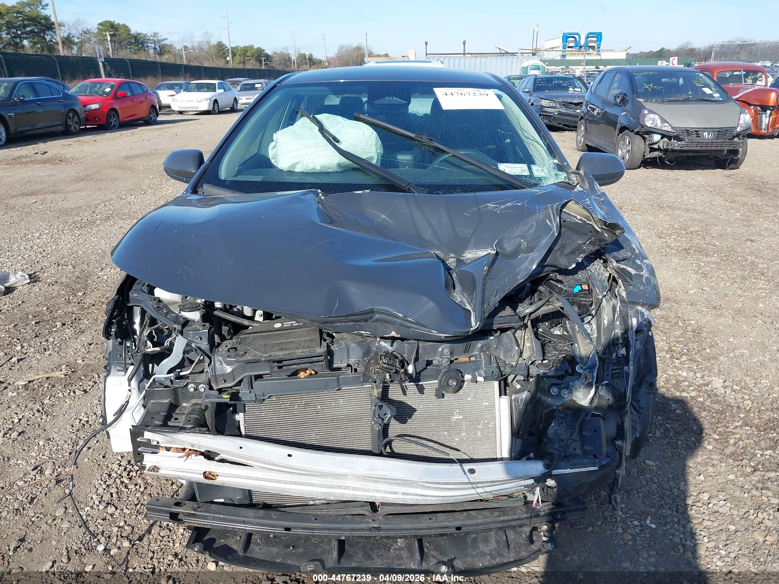 TOYOTA COROLLA image 6