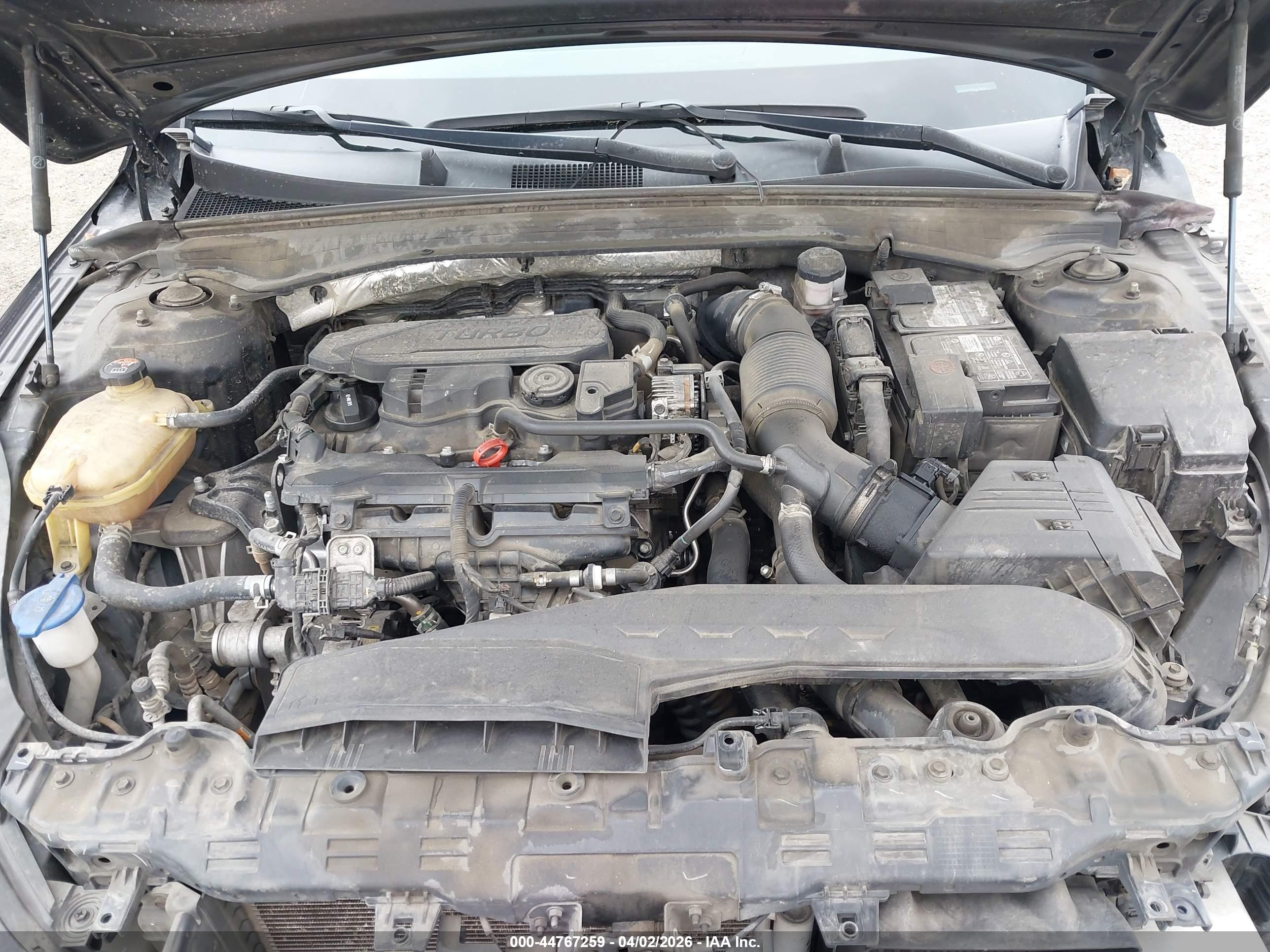 KIA K5 image 10
