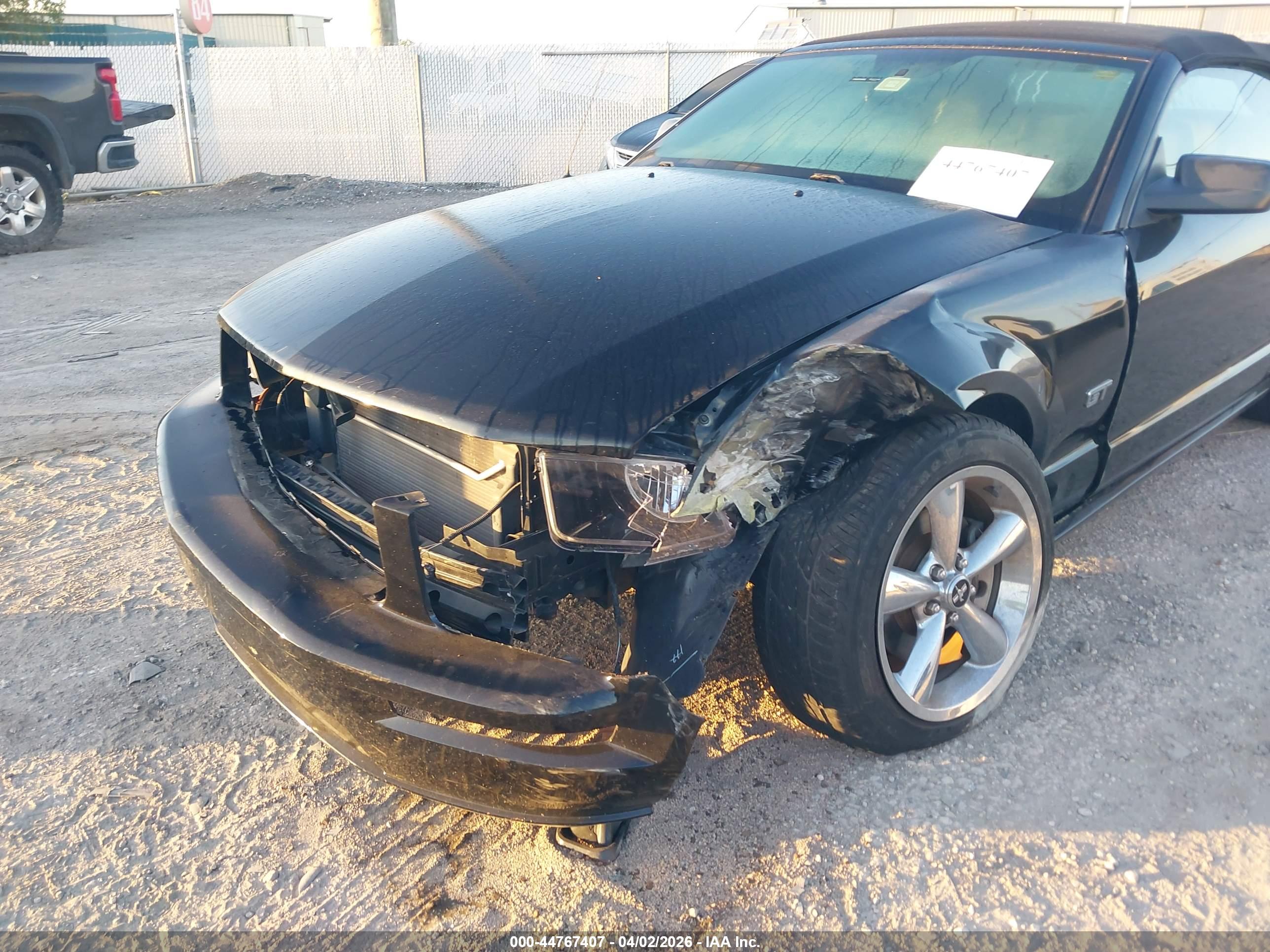 FORD MUSTANG image 6