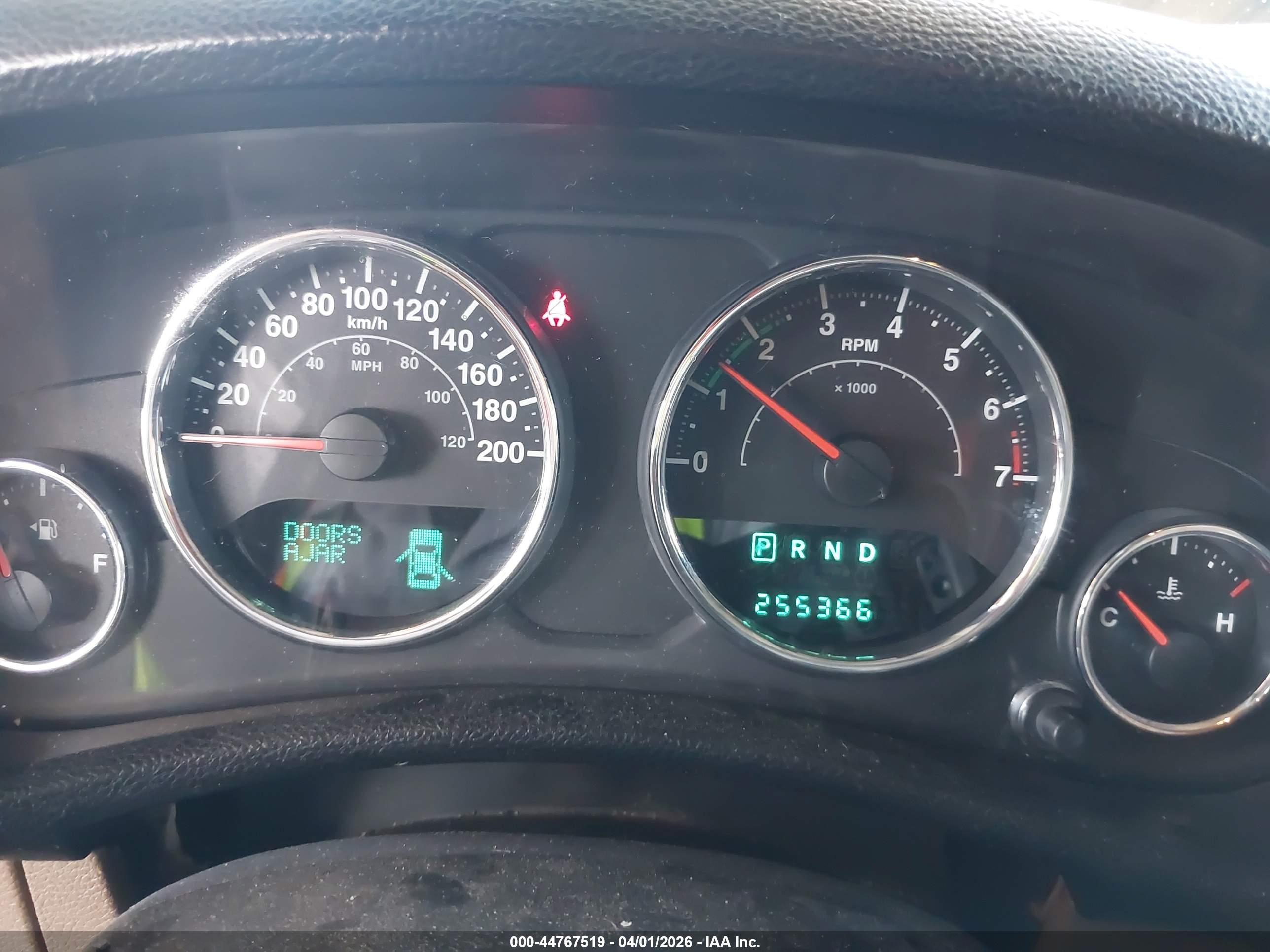 JEEP WRANGLER image 7