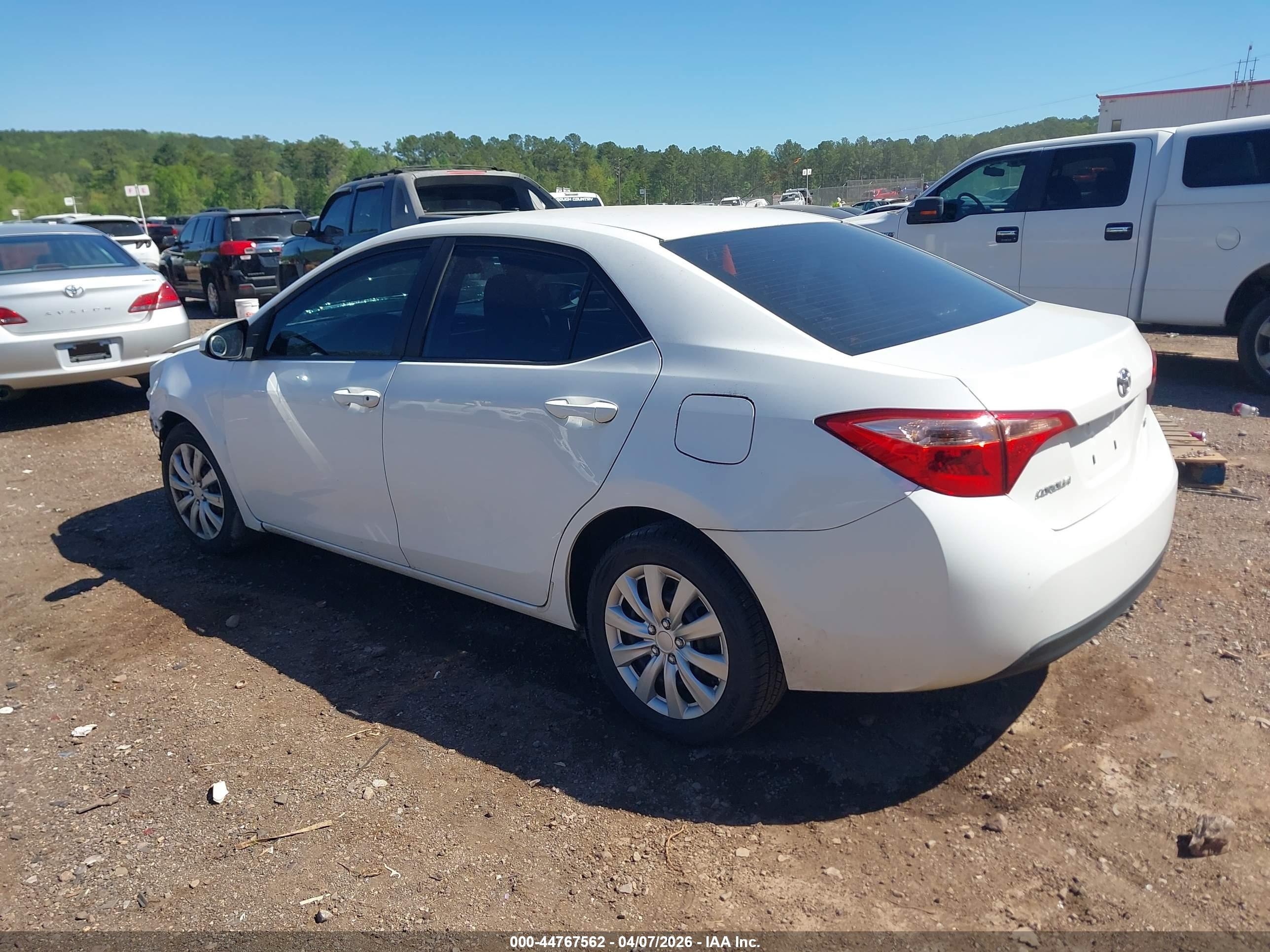 TOYOTA COROLLA image 3