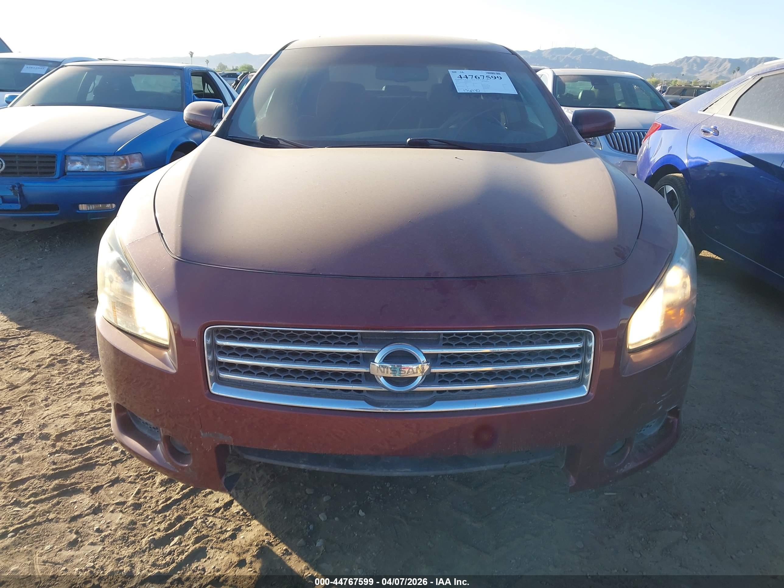 NISSAN MAXIMA image 6