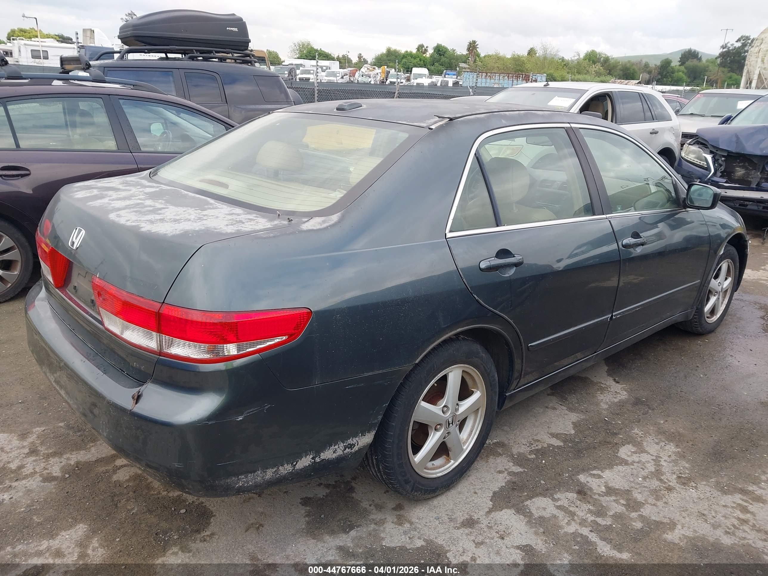 HONDA ACCORD image 4
