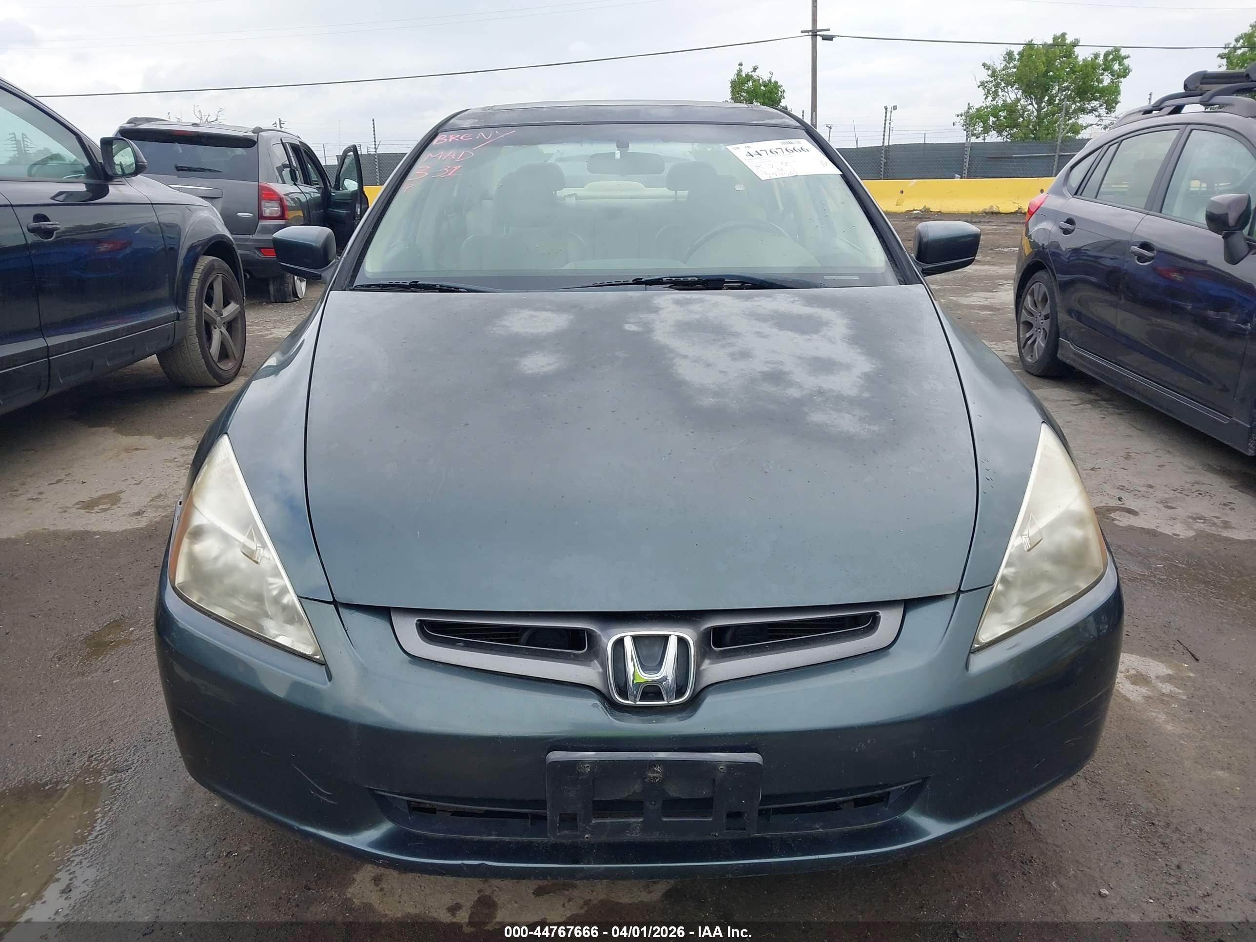 HONDA ACCORD image 6
