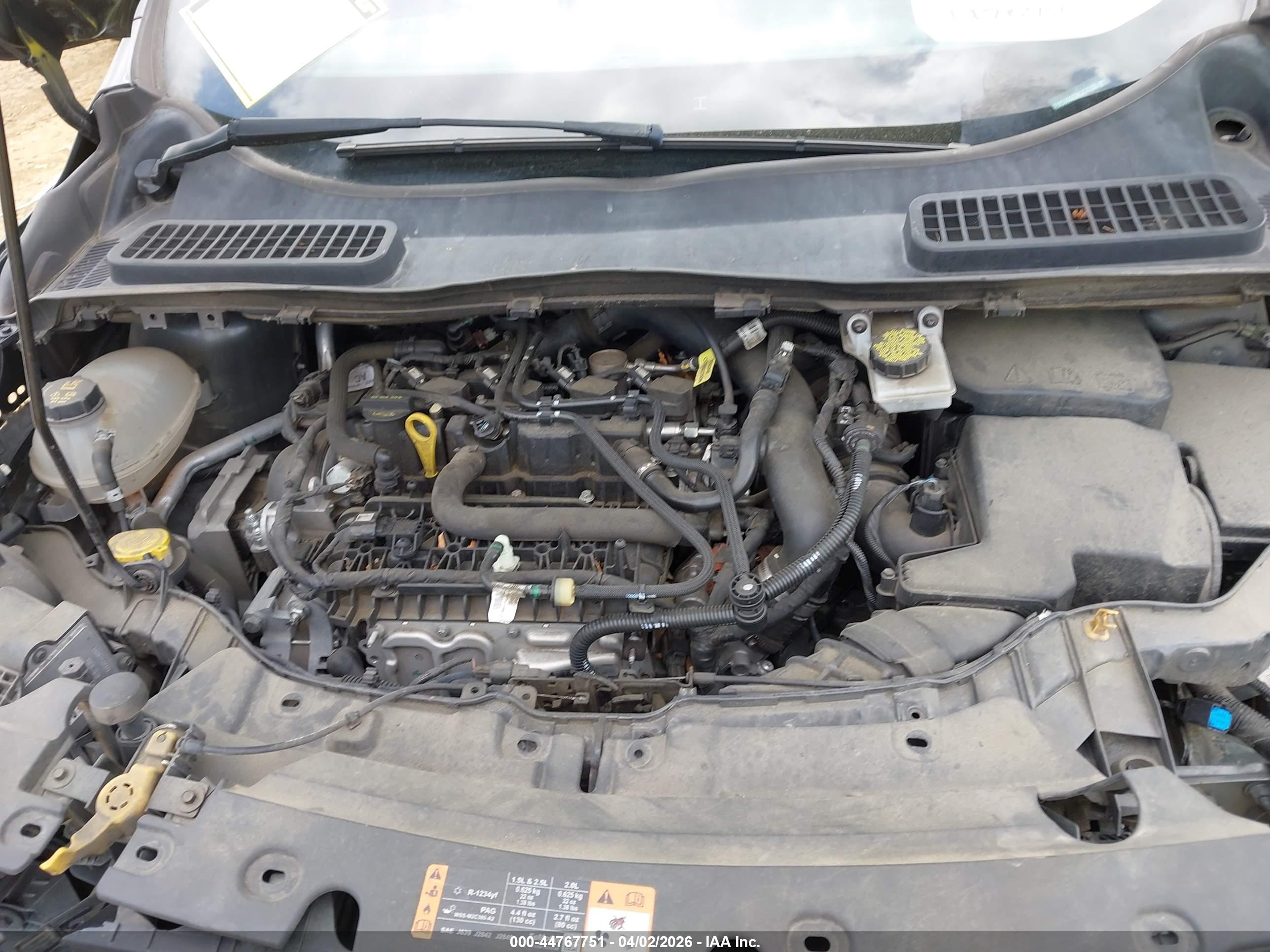 FORD ESCAPE image 10