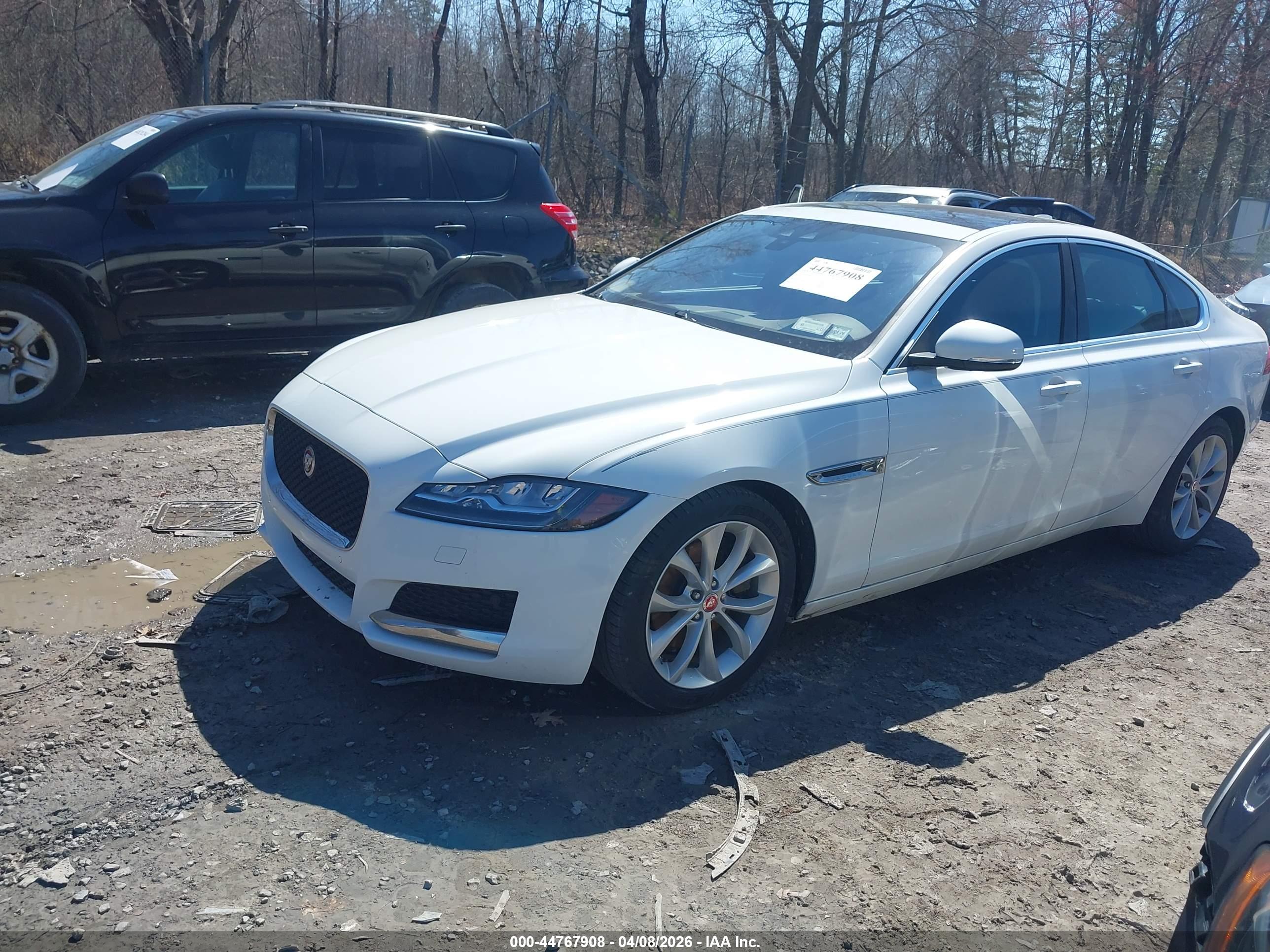 JAGUAR XF image 2