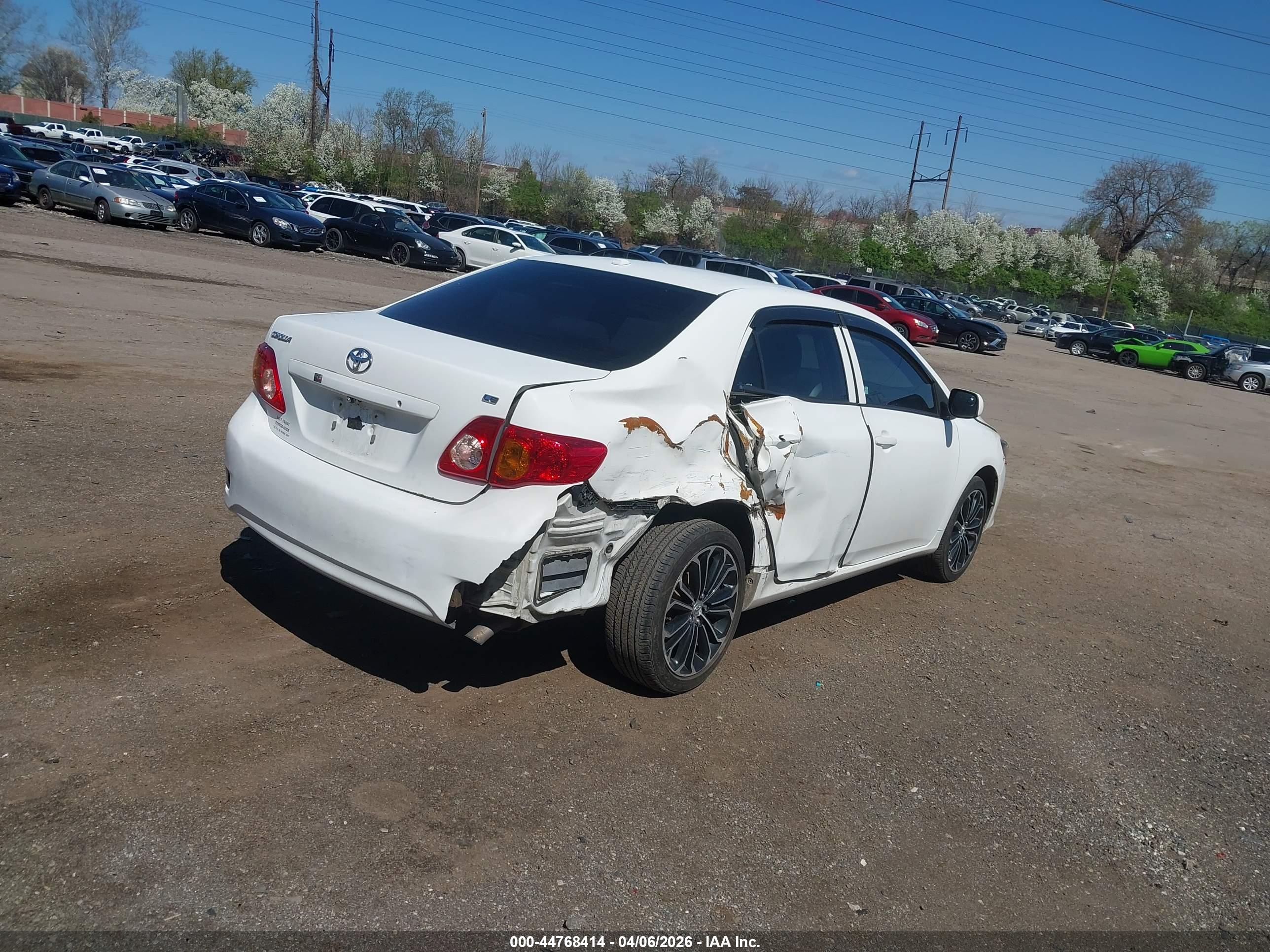 TOYOTA COROLLA image 4