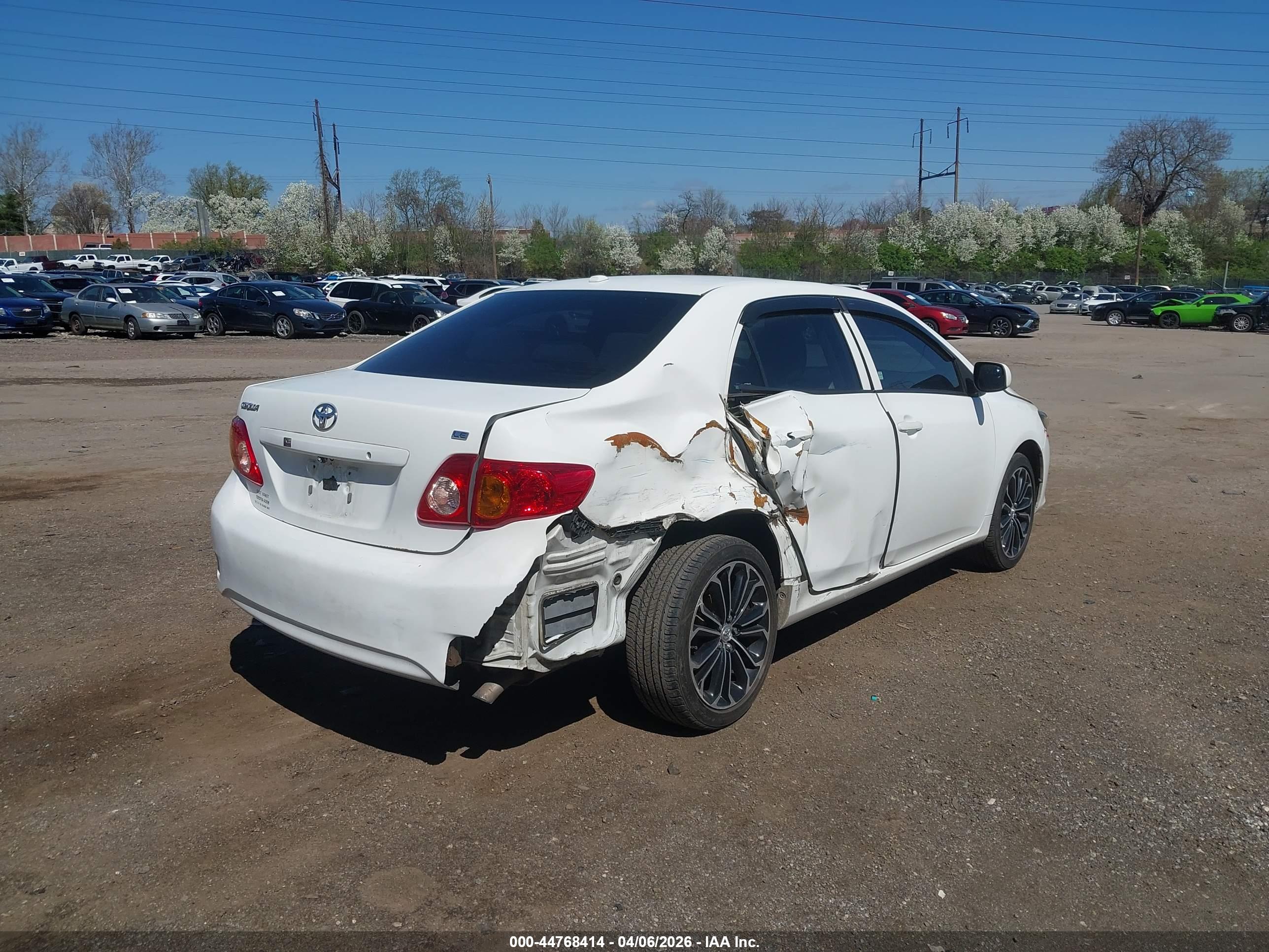 TOYOTA COROLLA image 6