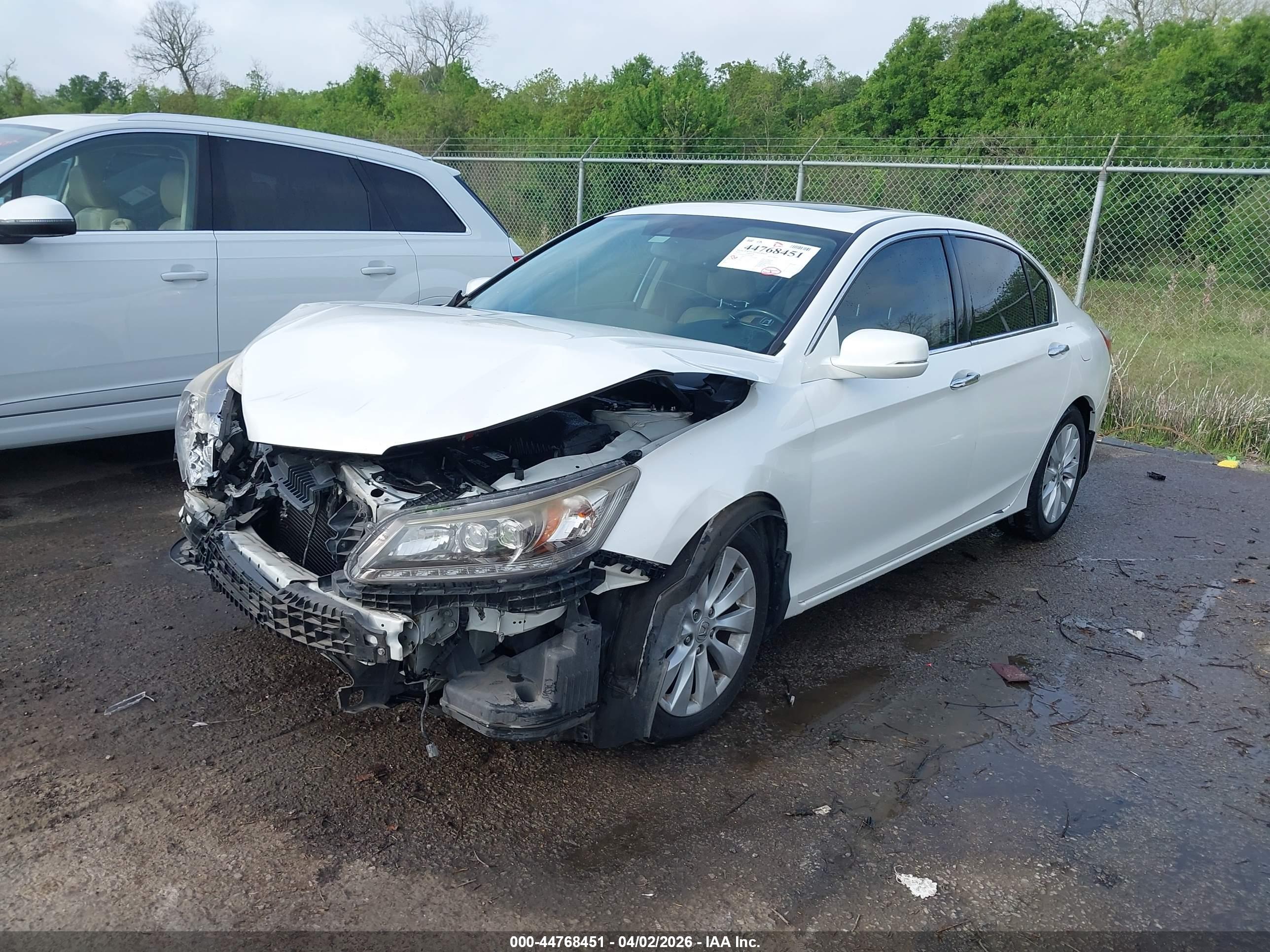 HONDA ACCORD image 2