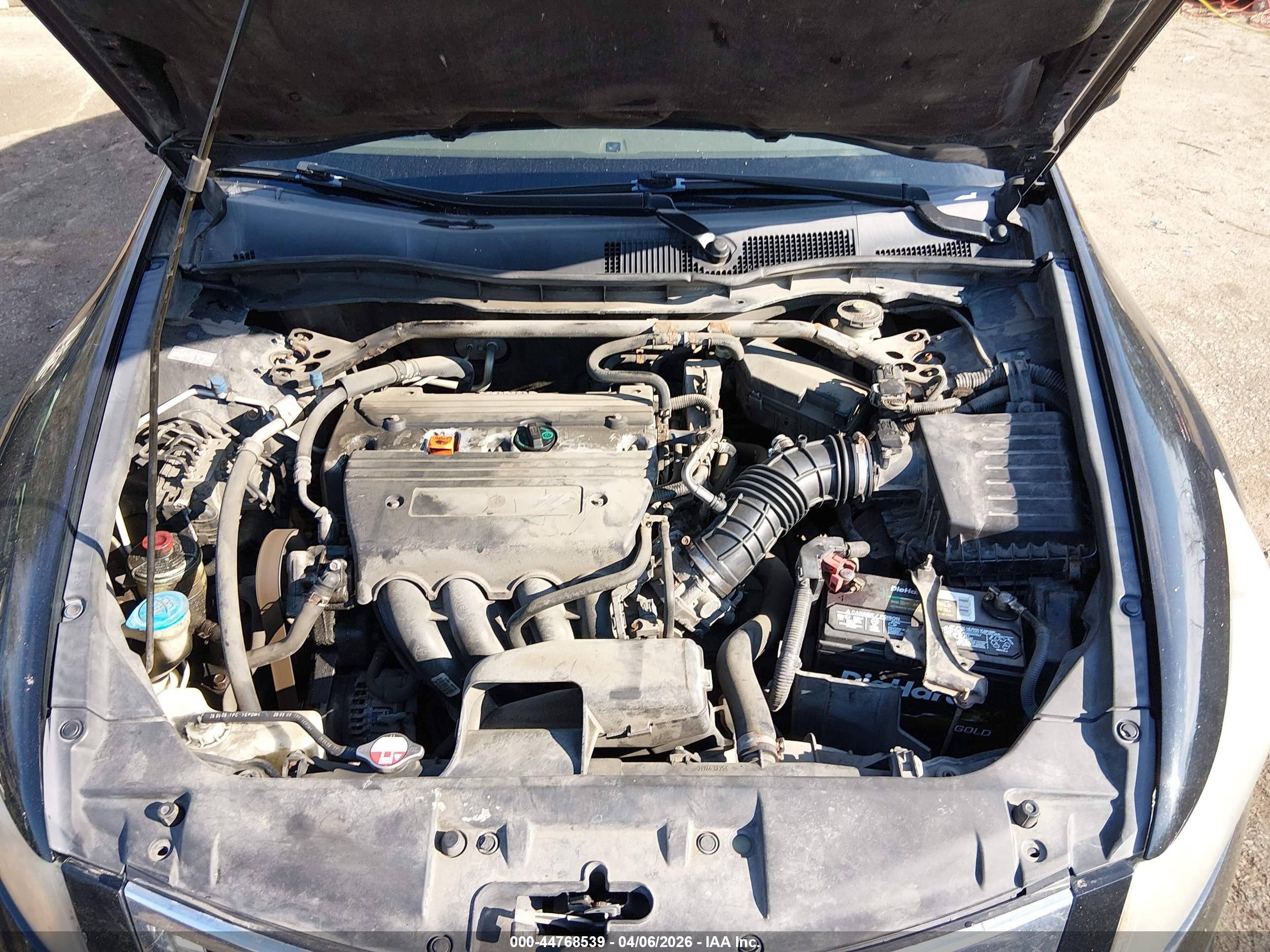HONDA ACCORD image 10